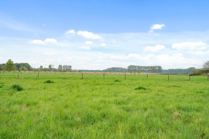 LANDBouwgrond  8462 grondopp - GEEN pacht !!! foto 13
