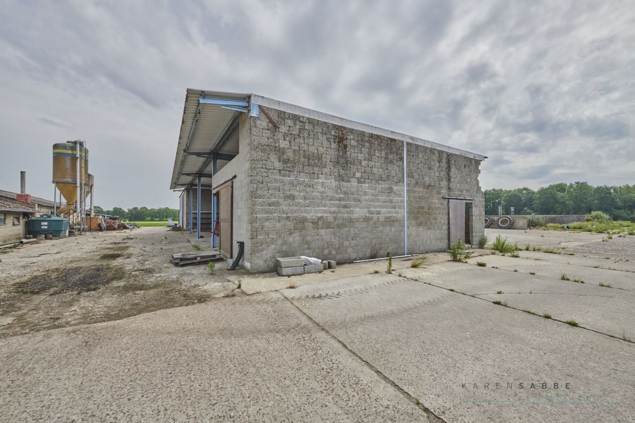 Hoeve met 2 woningen en stallen te koop te Hamont-Achel op 6,5 à 14 ha foto 5