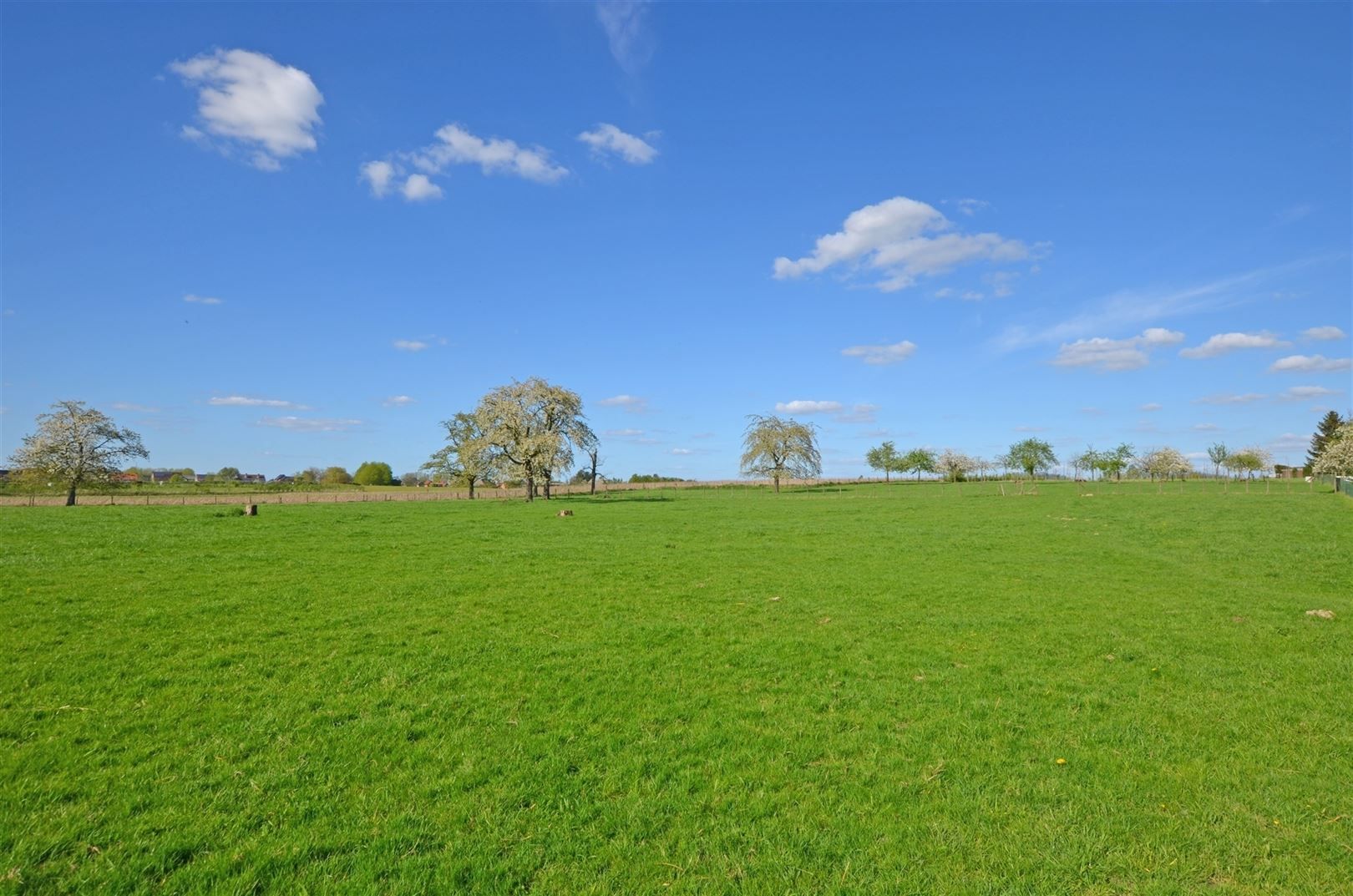 Landelijk gelegen vierkantshoeve op ±1.4Ha foto 30