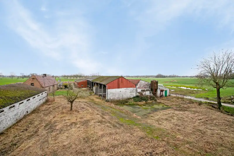 Uniek landelijk domein van ca. 10.000 m² met mogelijkheid tot nieuwbouw in Landegem foto 6