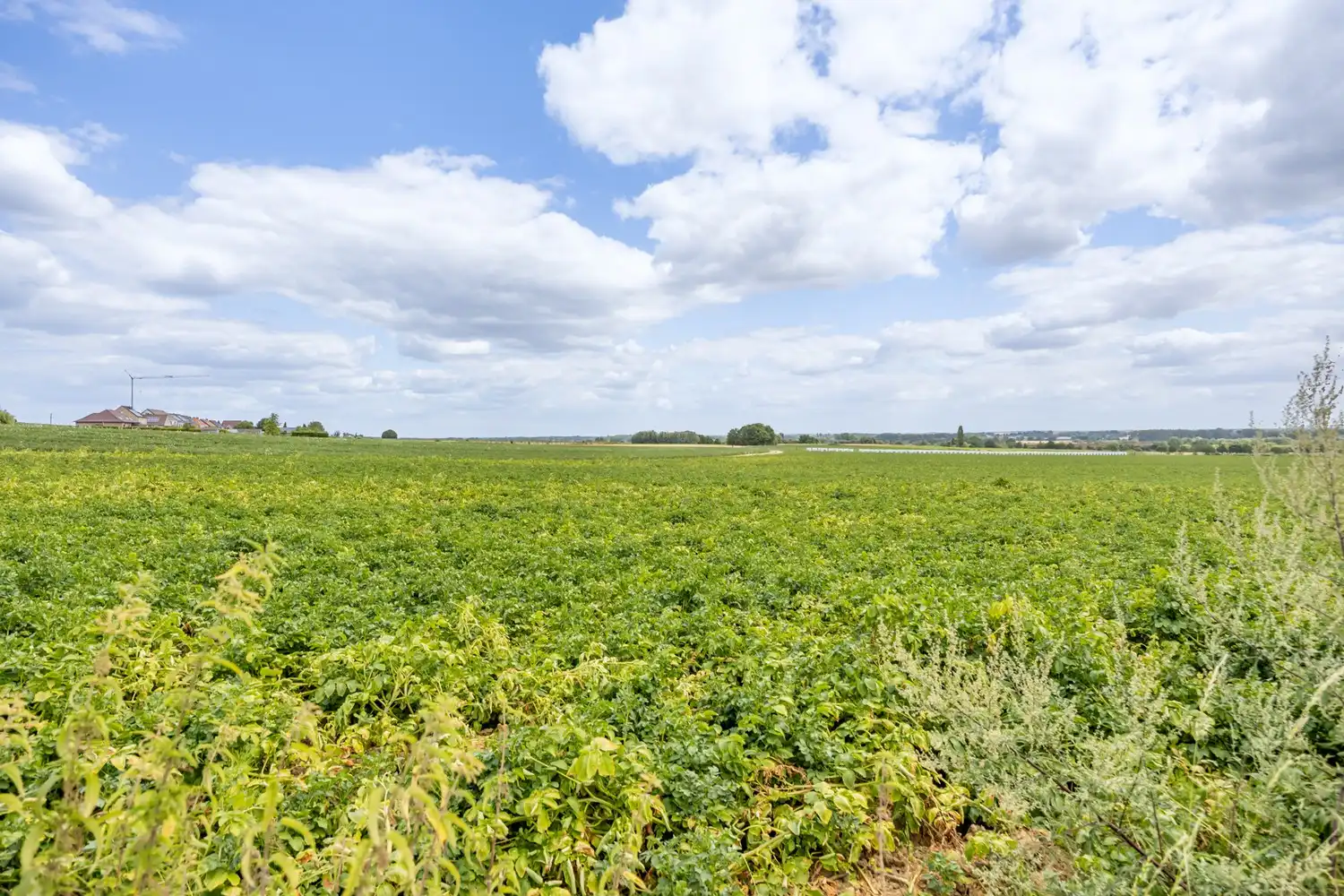 Open bebouwing op 20a - unieke ligging en eindeloos zicht op de velden foto 32