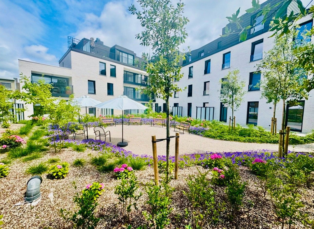 Luxueus wonen in hartje Zwevegem! foto 2