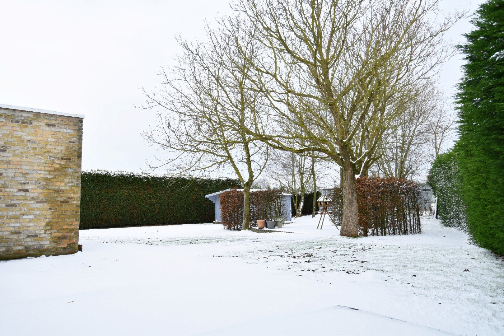 Landelijk wonen in alle comfort én met 4 slaapkamers te Sint-Eloois-Winkel foto 5