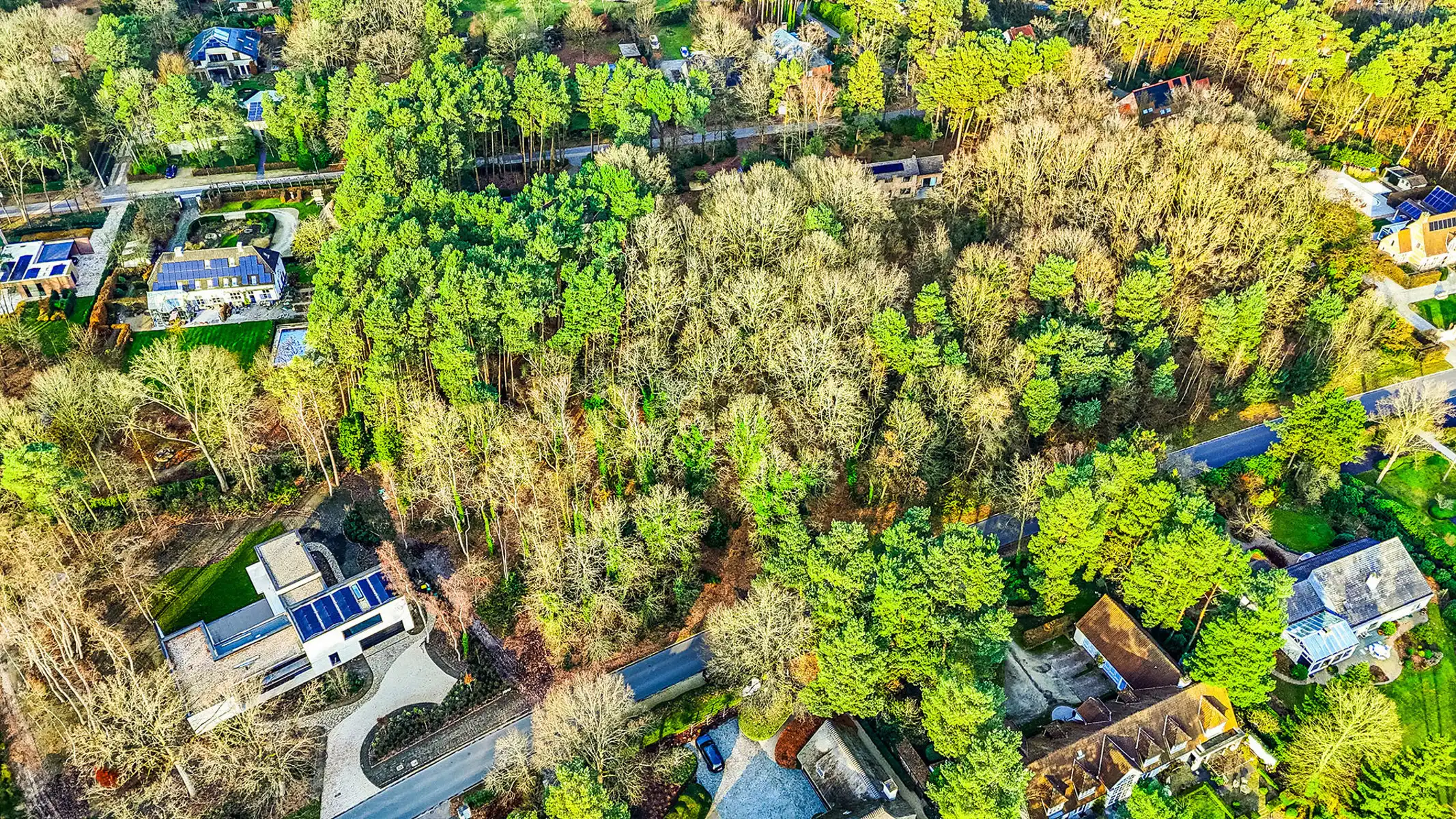 Exclusieve bouwgrond van 4.370 m² in “Golf & Meer”-domein foto 13