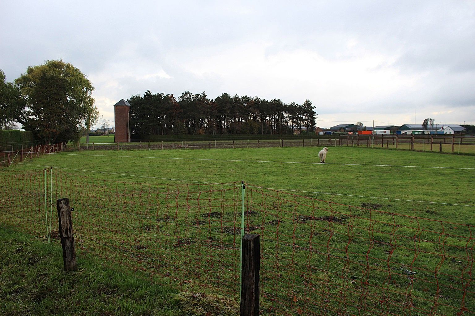 Vrijstaande gezinswoning met tuin en garage foto 18