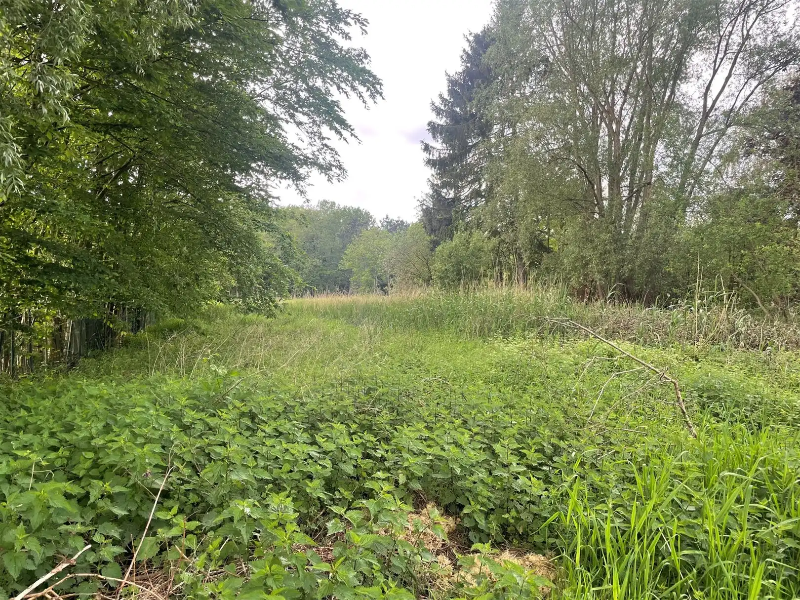 Perceel bouwgrond ca. 820m2 in verblijfsrecreatiezone "Het Moer" foto 3