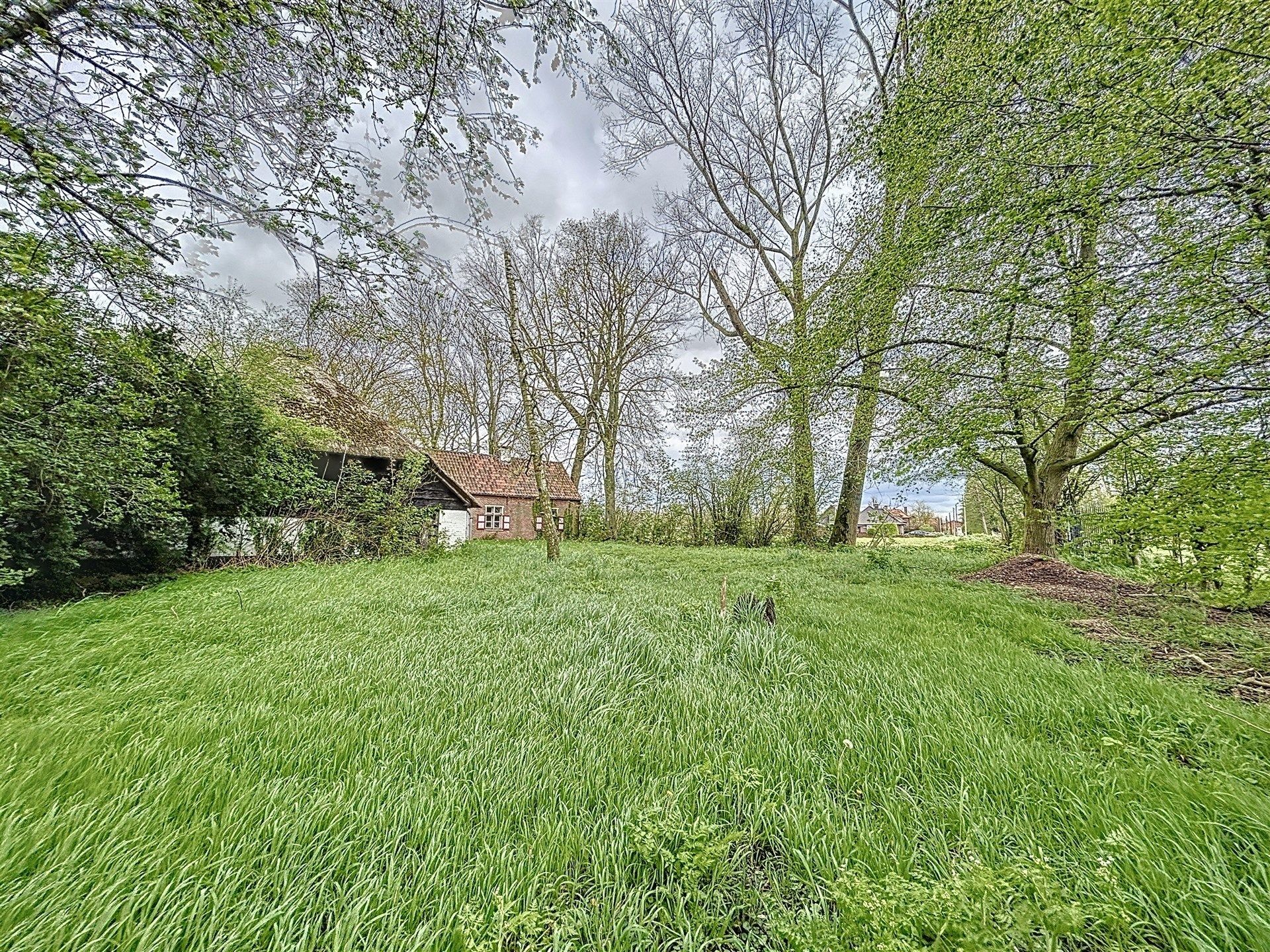 PRACHTIG GELEGEN HOEVE met bijgebouw op 19892m² foto 4