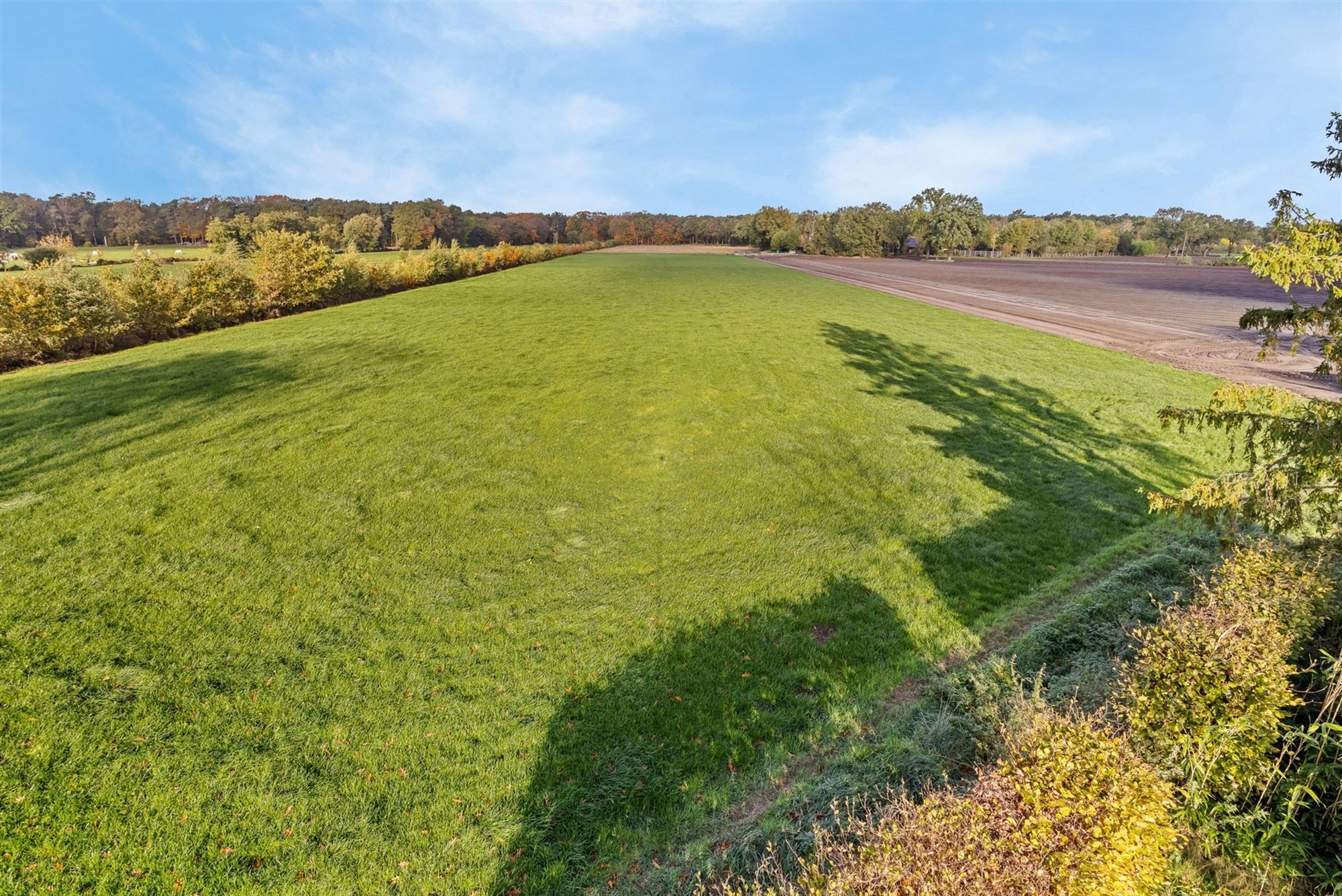 HEEL GOED ONDERHOUDEN WONING MET 3 SLAAPKAMERS UITERST RUSTIG GELEGEN OP EEN PERCEEL VAN 14A TE HEPPEN foto 35