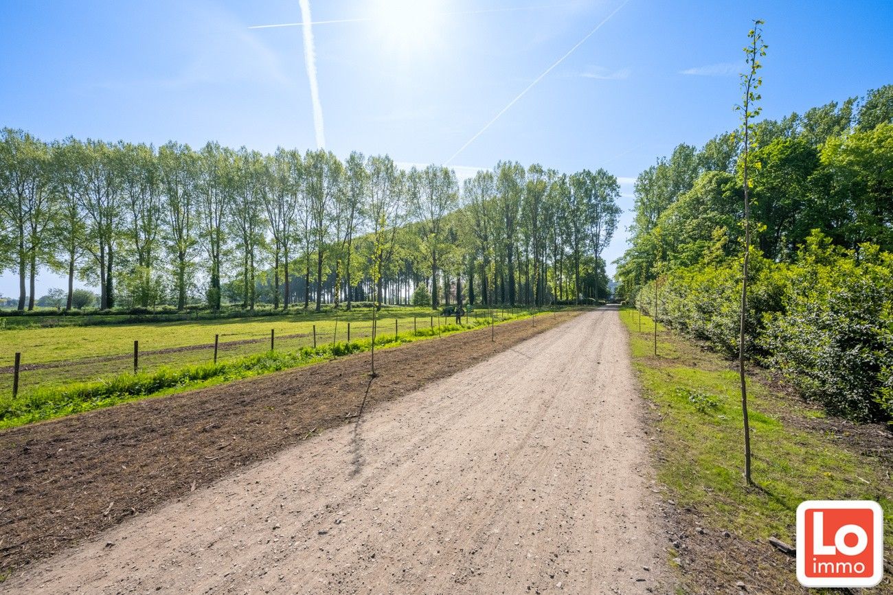 Exclusieve bouwgrond 1205m² aan de kasteeldreef ! foto 3
