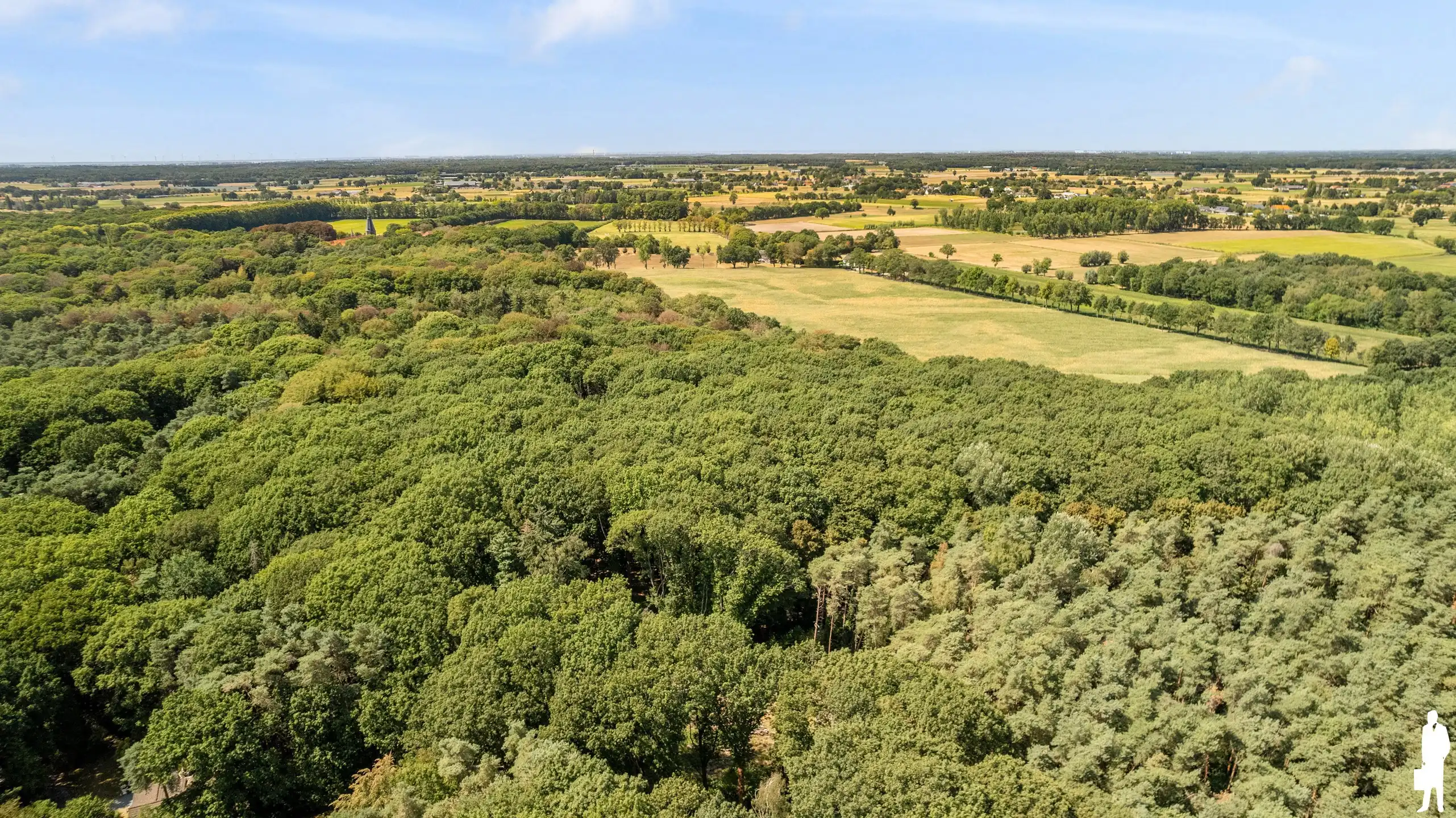 Charmante woning met volledige onderkeldering en achterliggend bos van ca. 31.493 m² foto 2