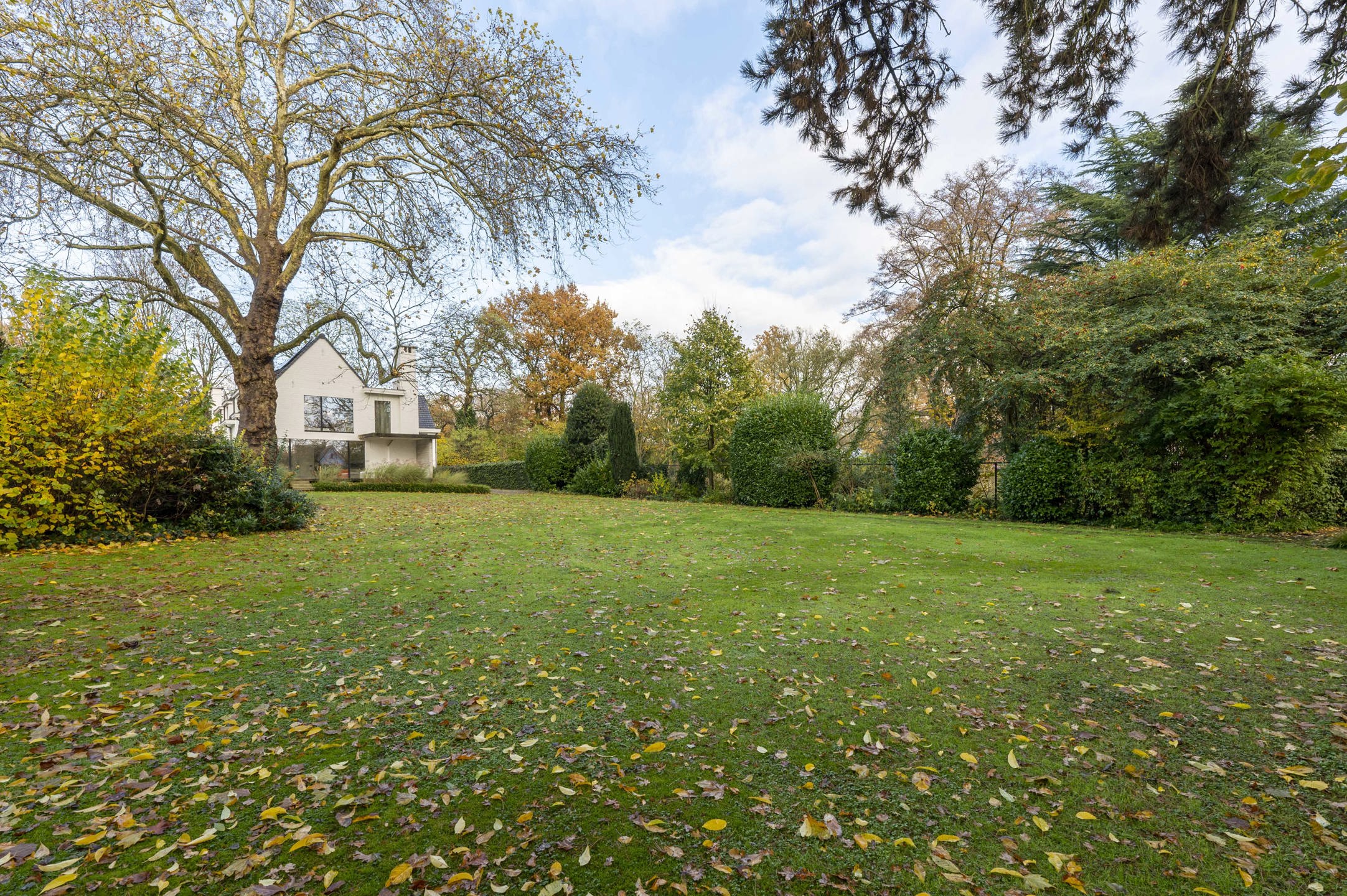 WILRIJK DEN BRANDT - Hedendaagse villa met zwembad foto 22