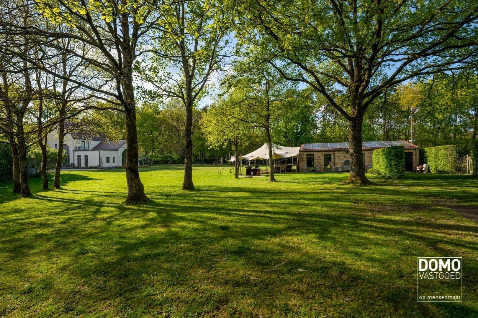 Exclusieve villa, zeer rustig gelegen, aan de groene bossen van Bolderberg. foto 33