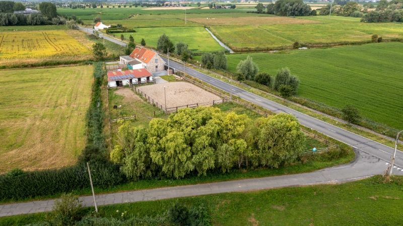 Groot-Diksmuide. Nieuwkapelle. Diverse weilanden van 2ha met instapklare stalling en voorzien van speciale afsluitingen foto 5