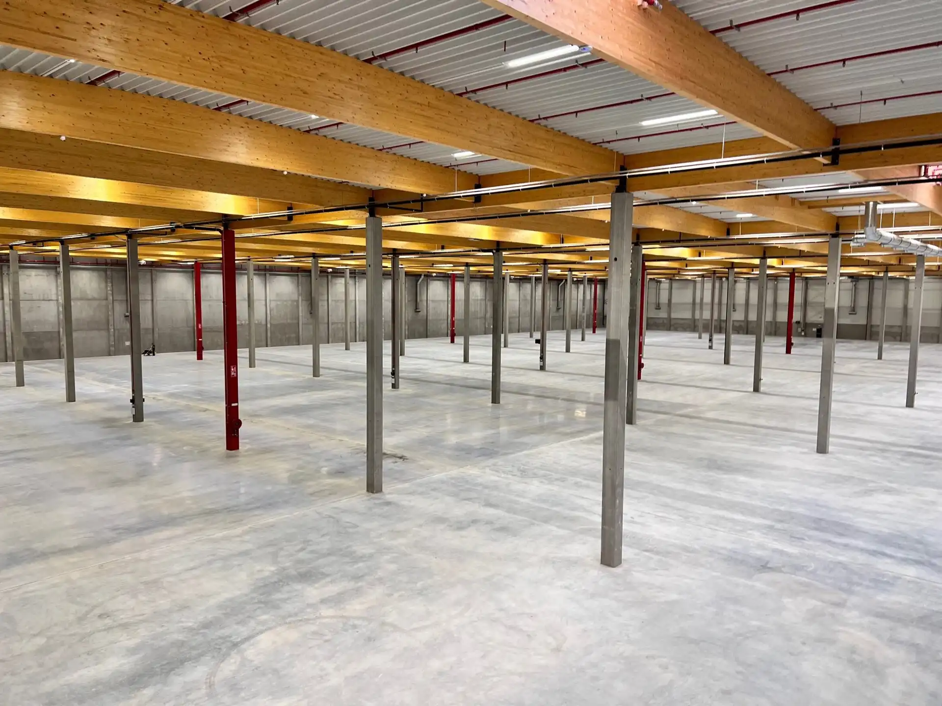 Commerciële ruimte te huur Mammoetstraat - 3700 Tongeren