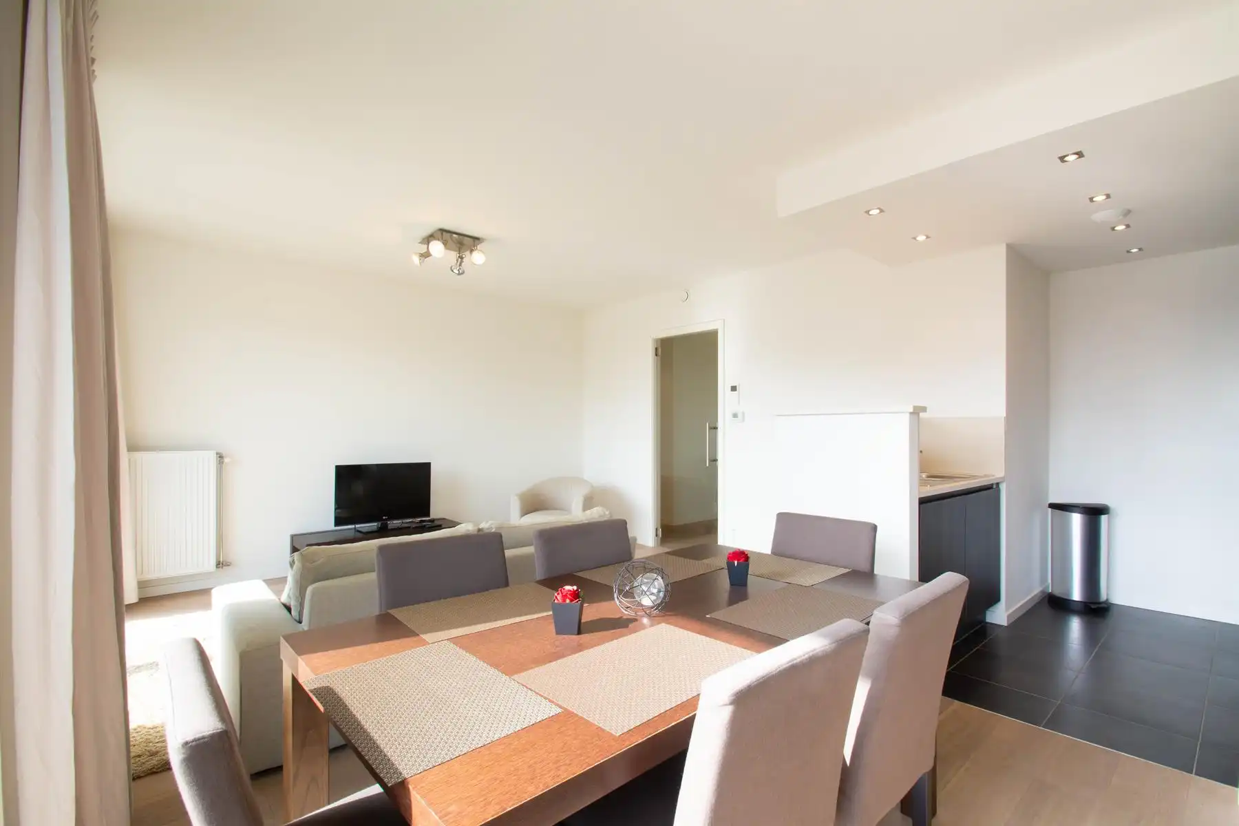 Prachtig gemeubeld 3 kamer appartement + TERRAS (NAVO) foto 5