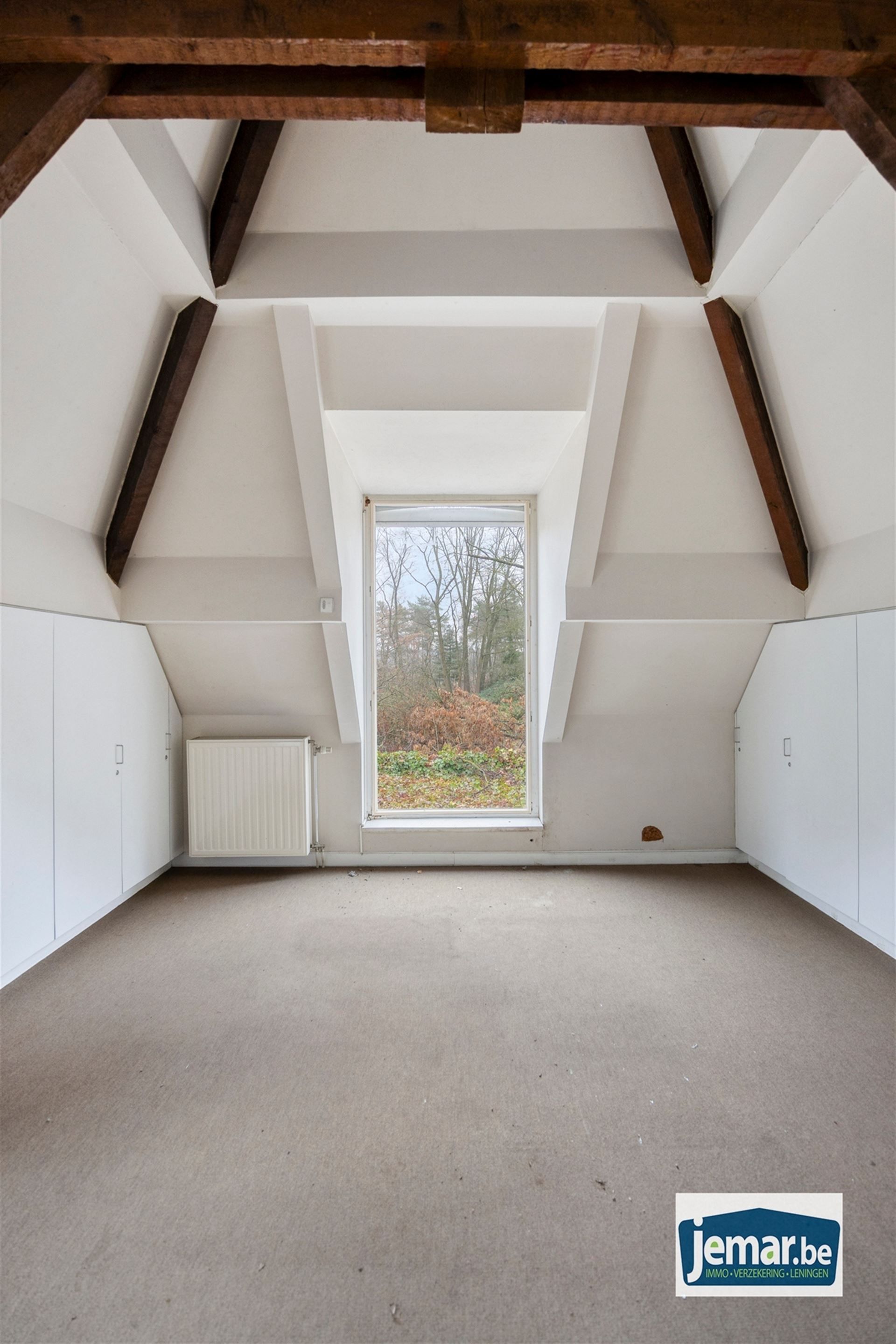 Villa met professionele opslagruimte, kelder en kantoorruimtes. foto 50