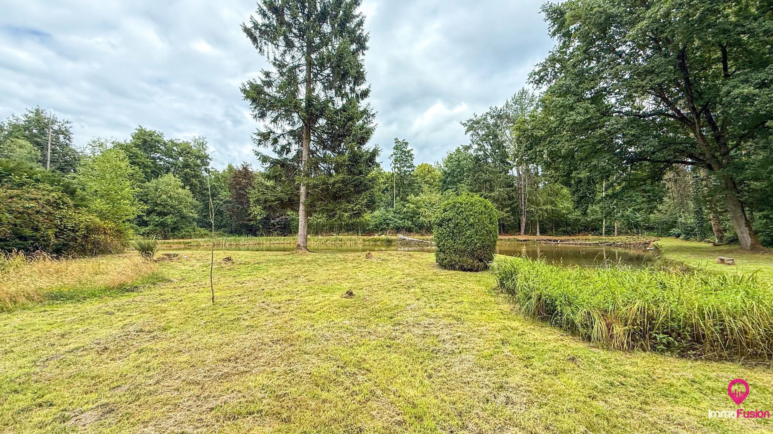 Droom buitenverblijf in Hasselt voor natuurliefhebbers!  foto 41