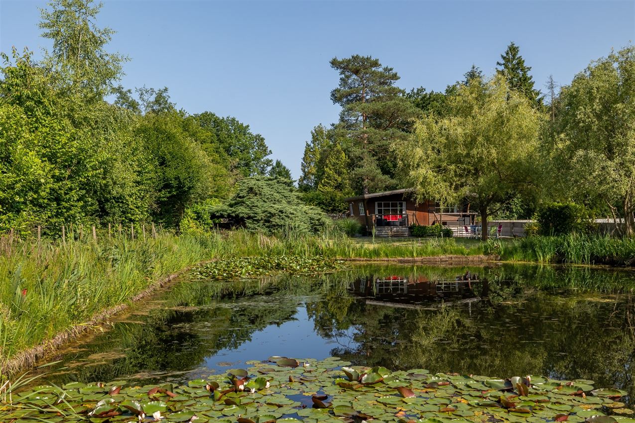 Knusse chalet op 15 are in bosrijk Herselt met vijver, terras en carport. Ideaal vakantieverblijf in het groen. foto 28