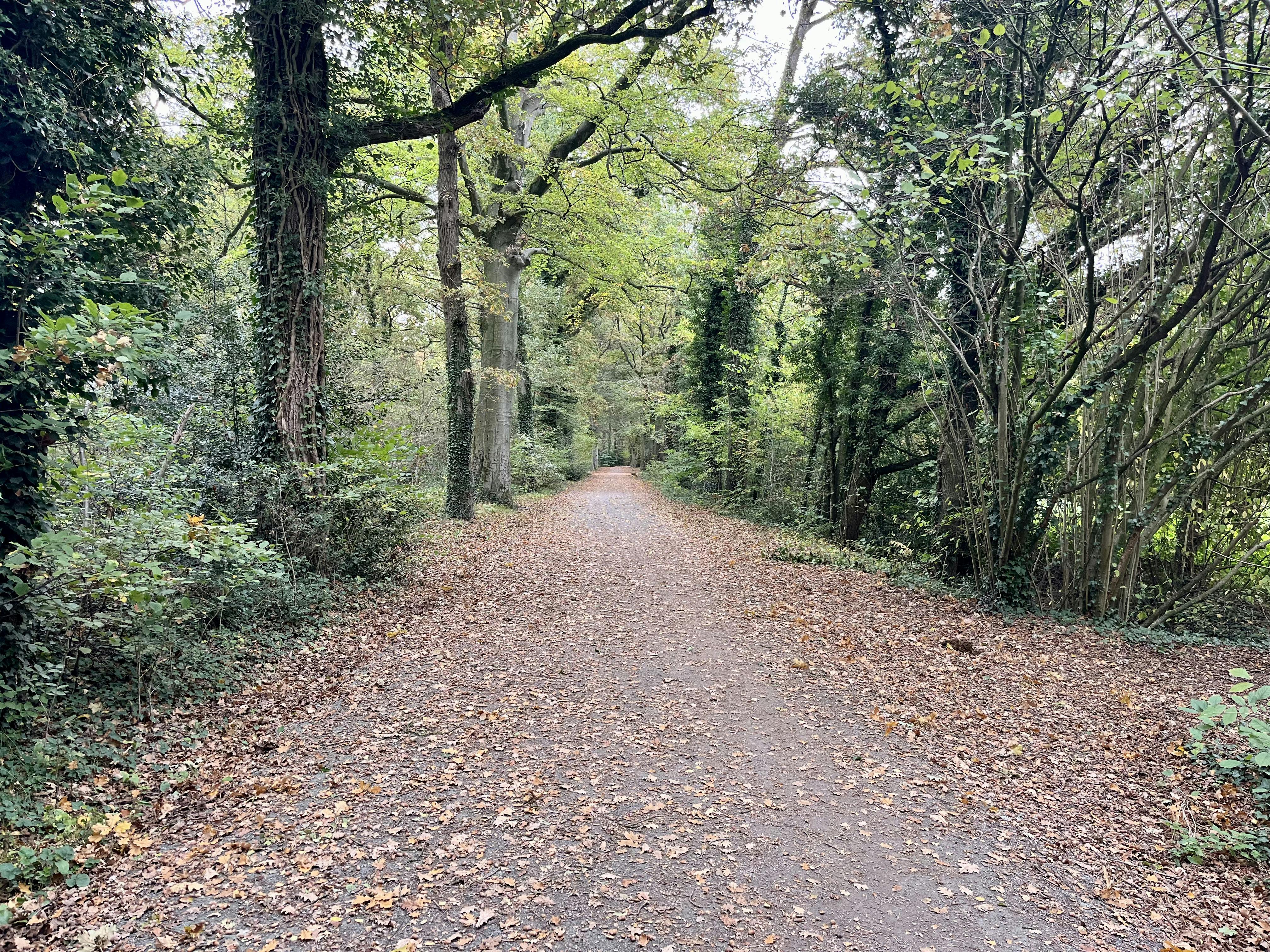 Perceel bosgrond te koop in Zoerselbos foto 10