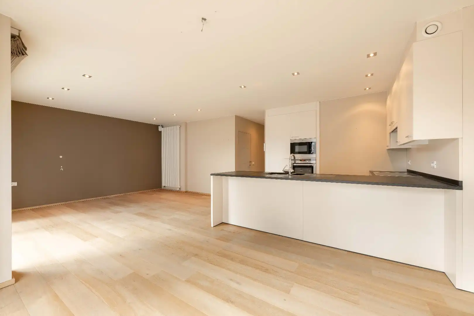 PERFECT INSTAPKLAAR KWALITATIEF APPARTEMENT IN HARTJE PITTEM foto 5