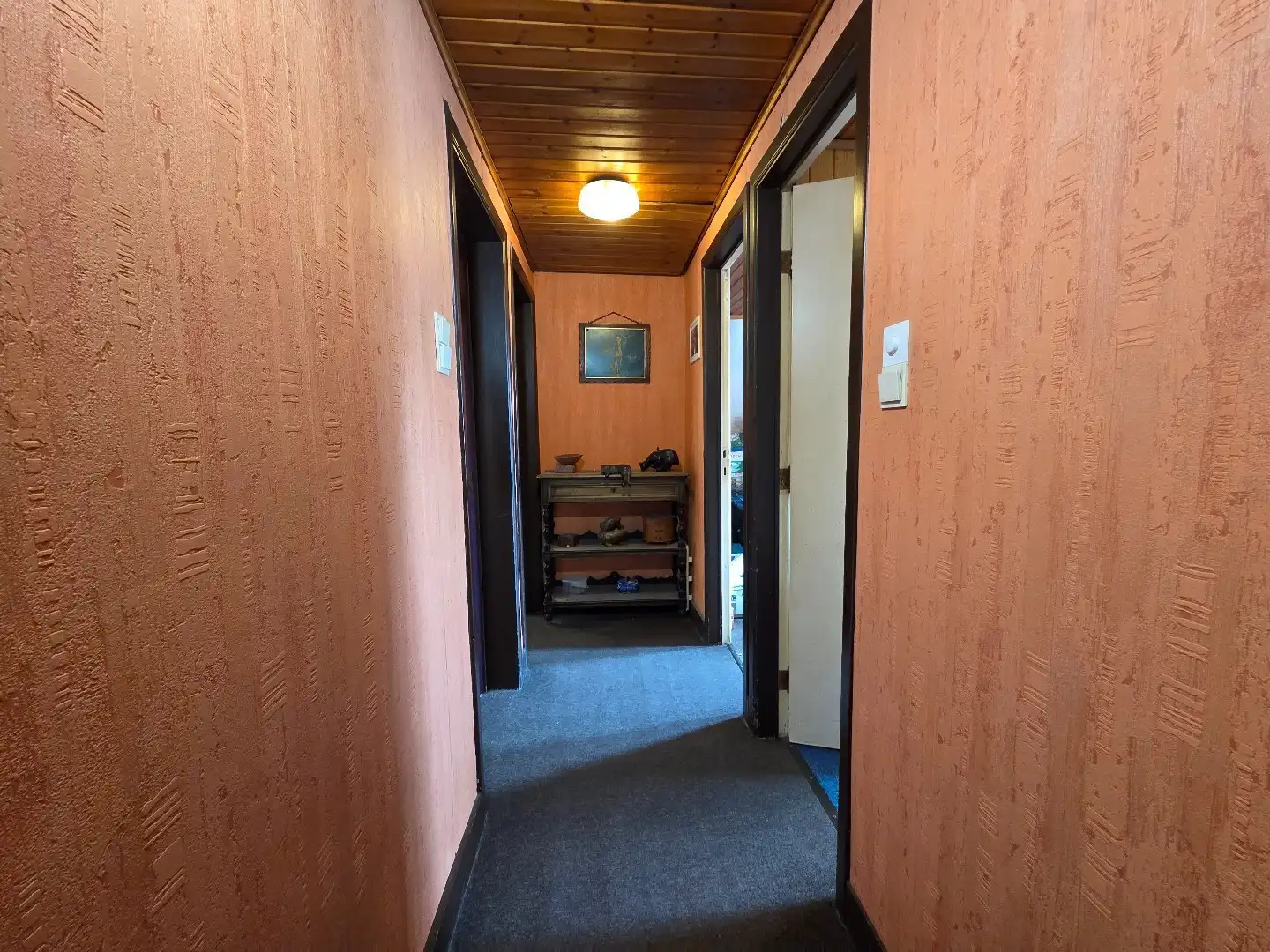 Ruime open bebouwing op 10a 51ca met potentieel. foto 13