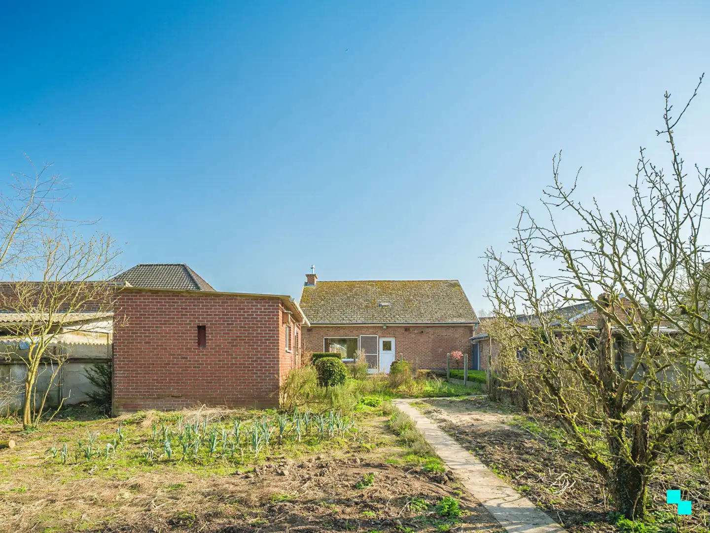 Te renoveren woning met garage en unieke tuingrond grenzend aan het bos foto 23