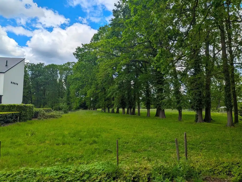 Perceel van 3.000m² voor open bebouwing met zicht op weilanden foto 5