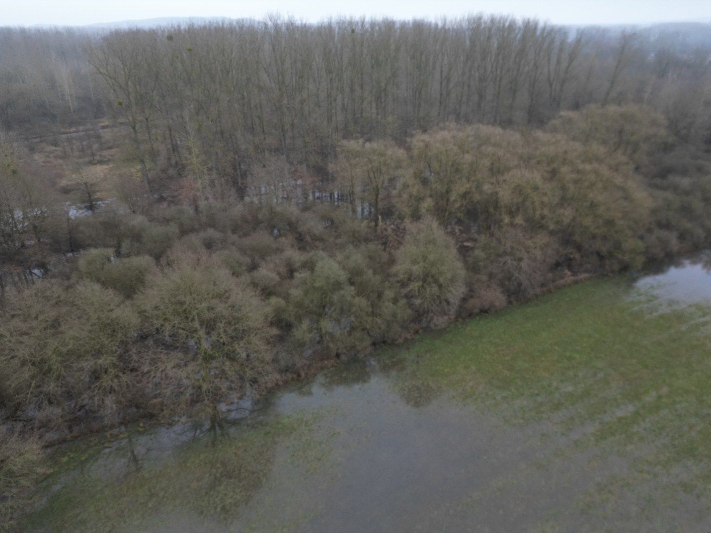Twee percelen bosgrond in natuurgebied. foto 3
