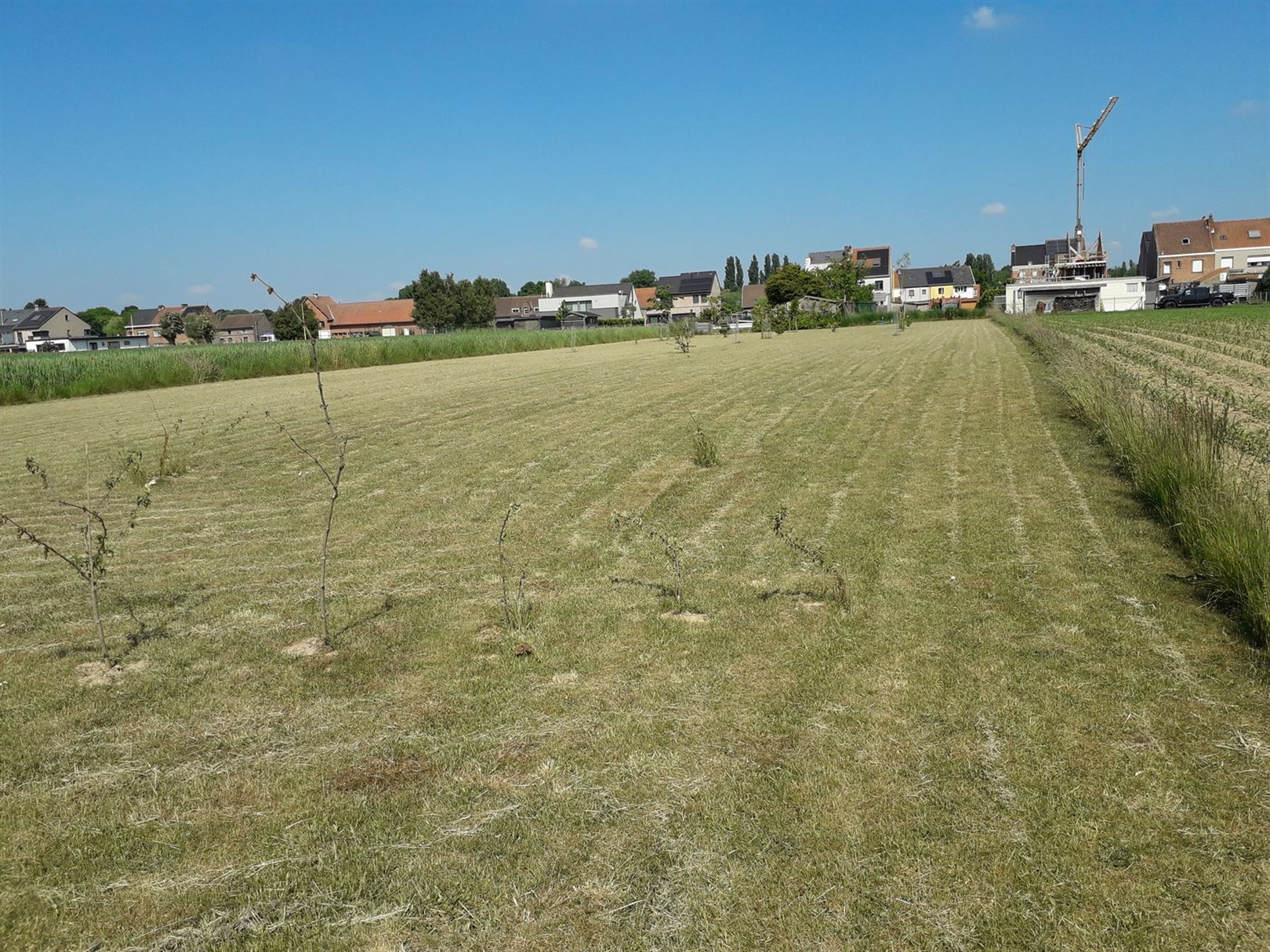 Grond gelegen in woonuitbreidingsgebied foto 3