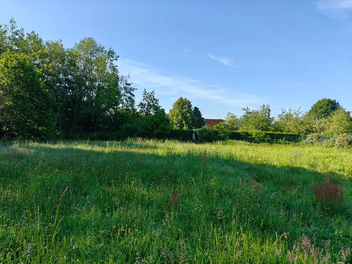 Ruime bouwgrond van 1.627 m² voor een open bebouwing! foto 4