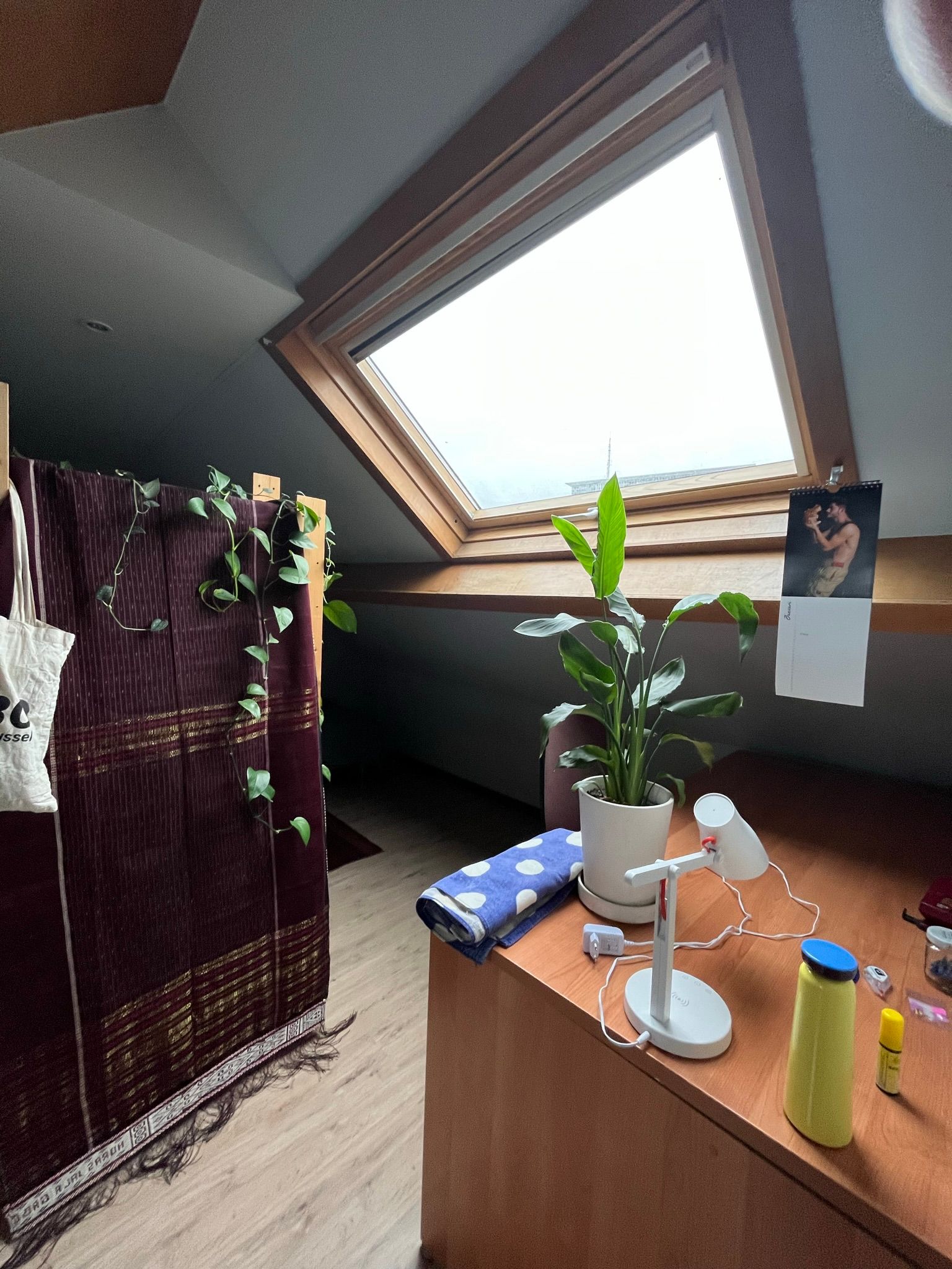 Studentenkamer - ONMIDDELIJK VRIJ foto 7