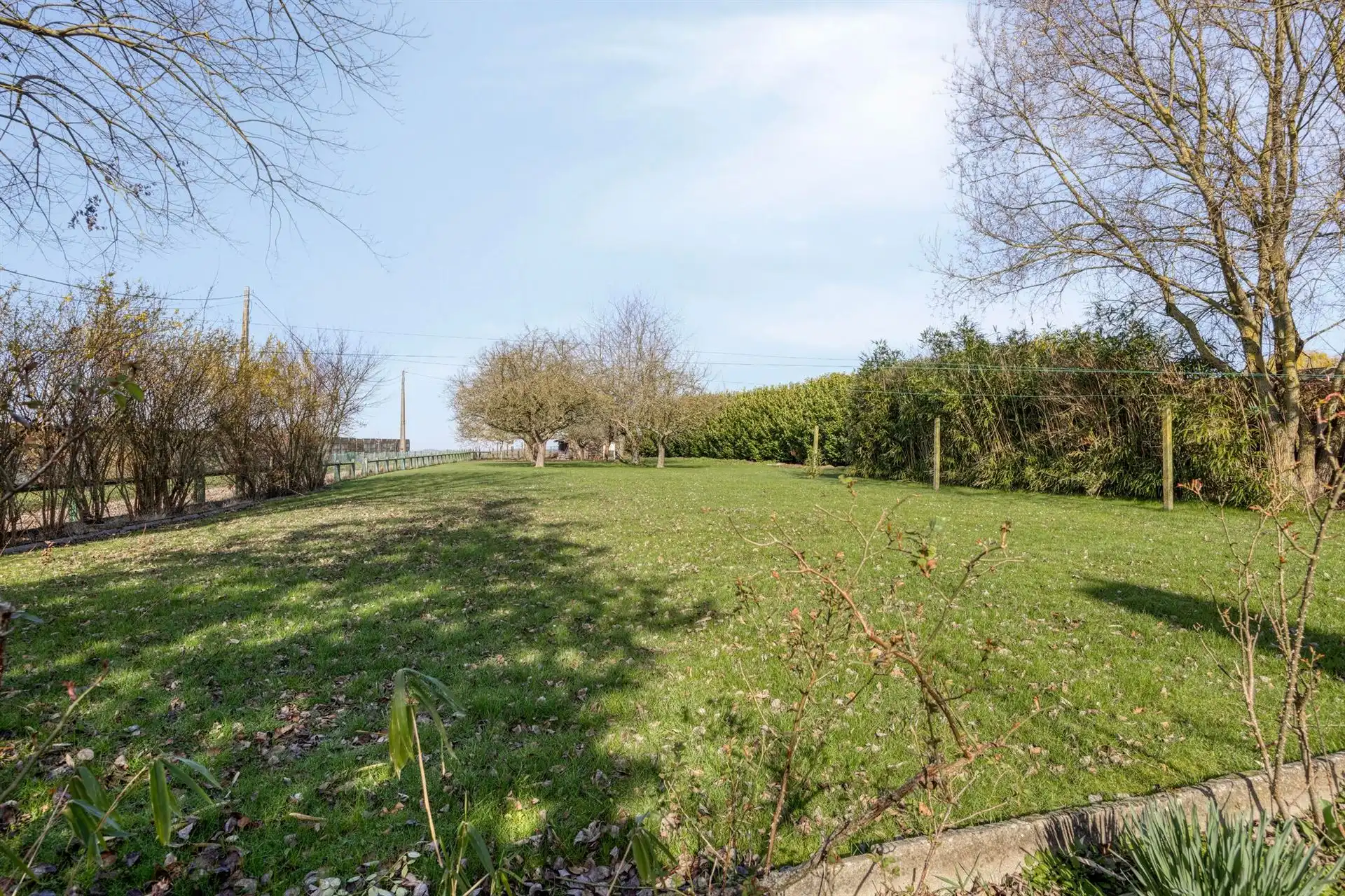 Te renoveren charmante woning op prachtig perceel  foto 25