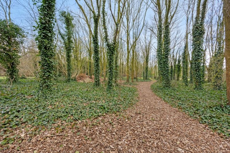 TE KOOP – Uniek stuk bouwgrond in de bossen van Lembeke – >15.000 m² foto 8