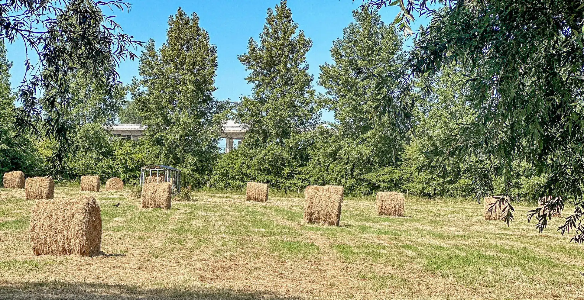 De Rozeblomme, 16e eeuwse abdijhoeve met vergunning voor luxueuse B & B in bijgebouw, circa 2,5 ha foto 3