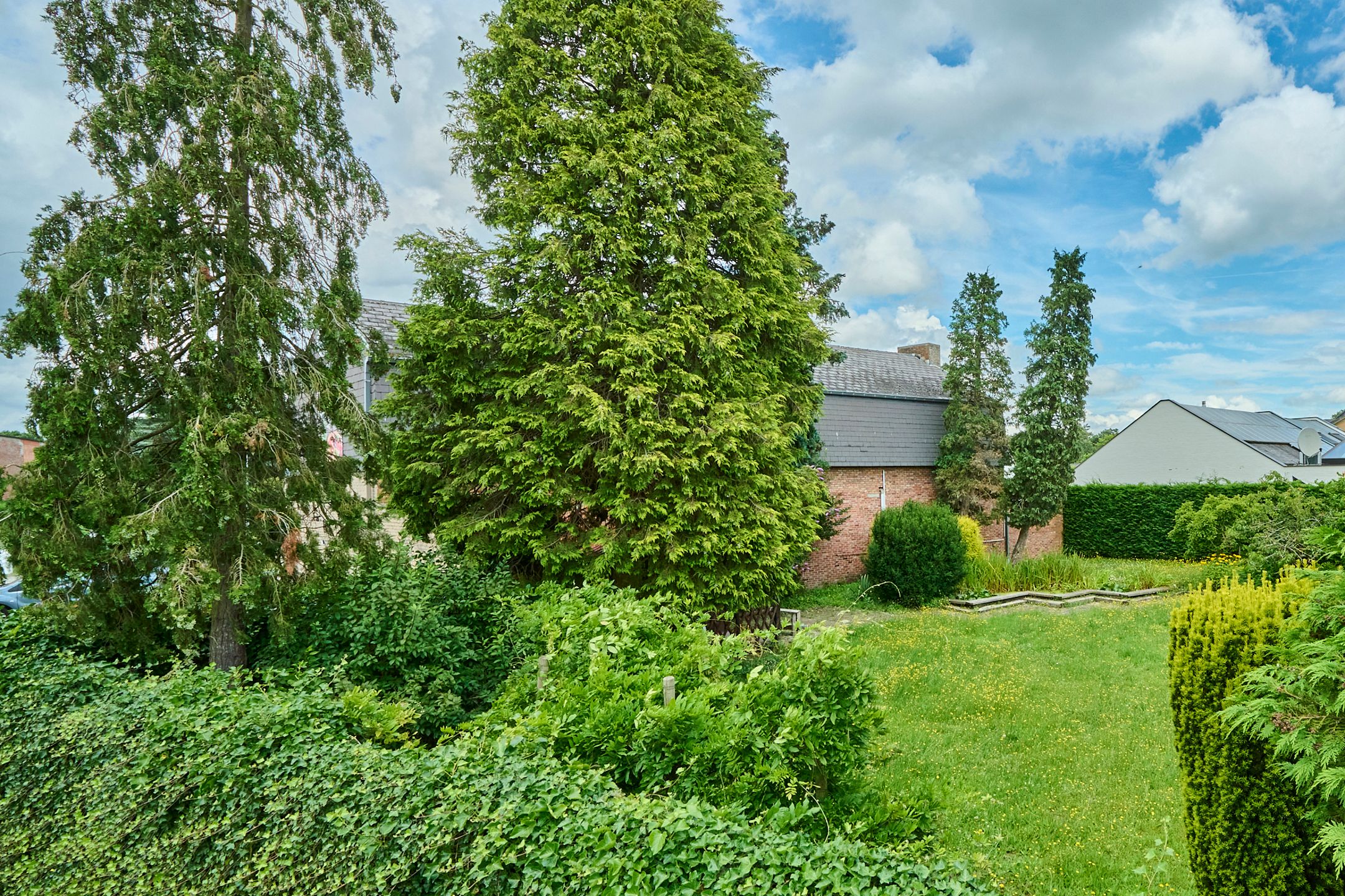 Te koop: pand voor gemengd gebruik op toplocatie in Zonhoven foto 3