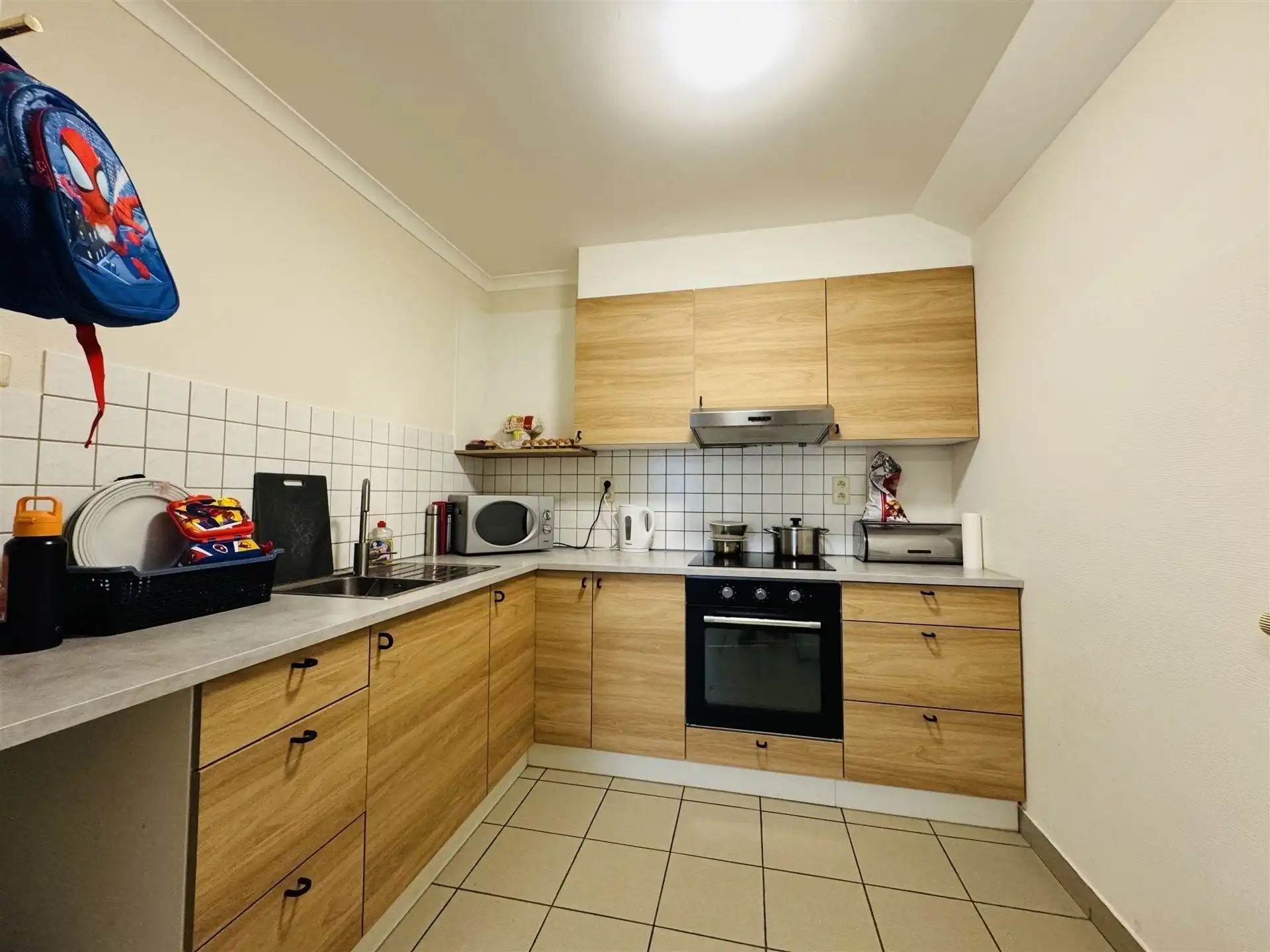 Hoeve met paardenaccomodatie. foto 38