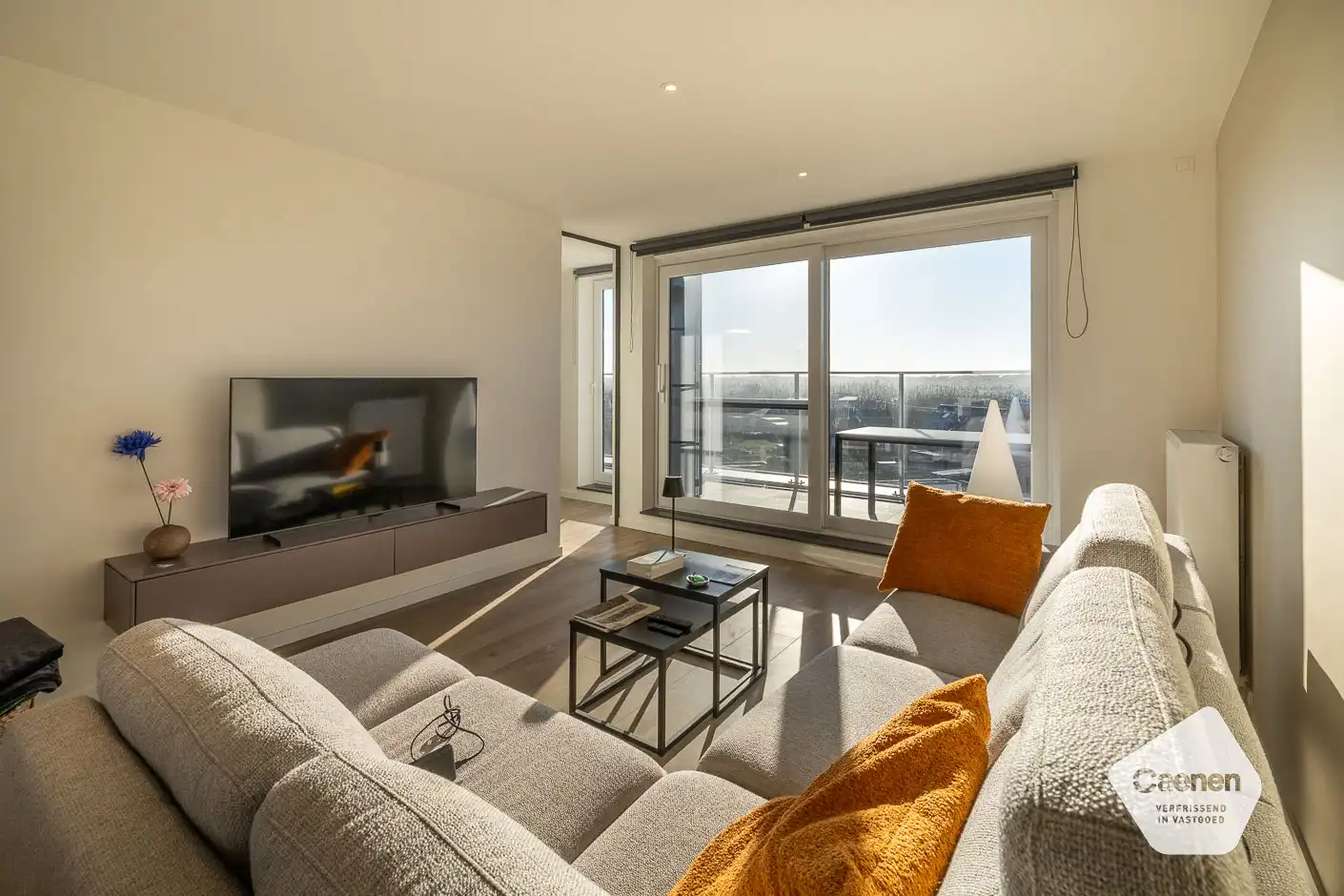 Luxe-appartement op wandelafstand van zeedijk en duinen foto 3
