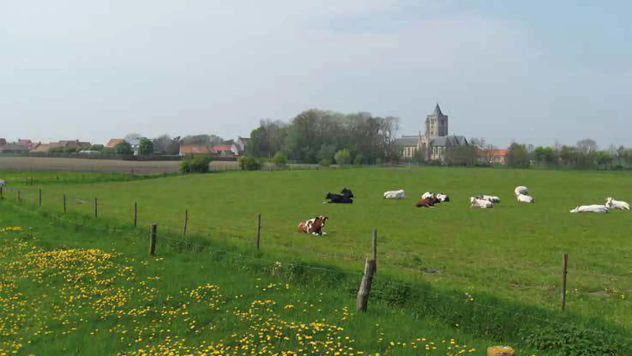 Grond te koop Groenestraat 37 - 8691 Alveringem