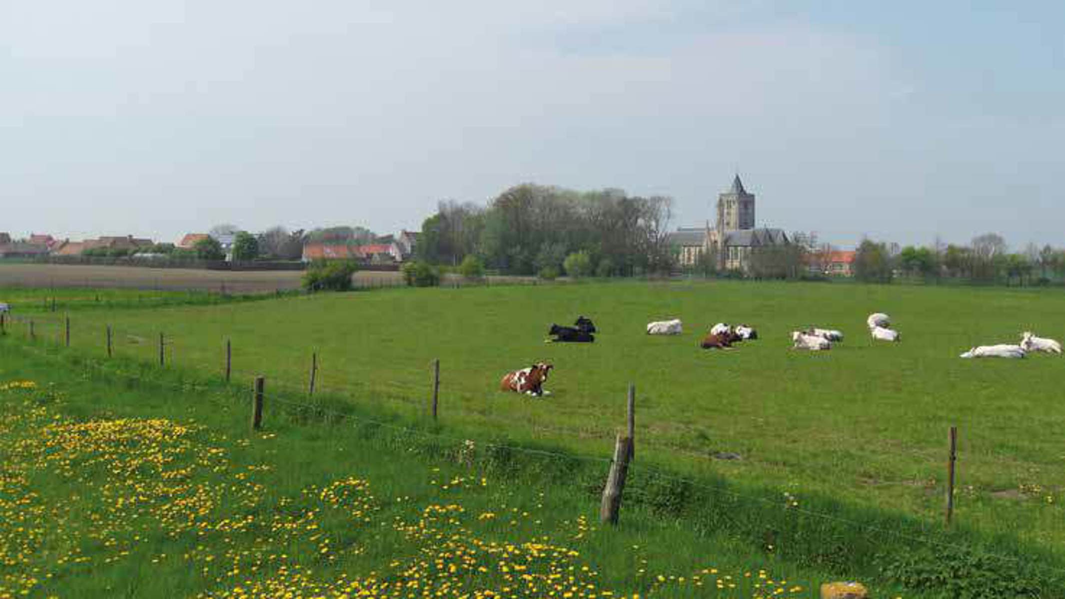 ()=>{if(producerUpdateValueVersion(node),producerAccessed(node),node.value===ERRORED)throw node.error;return node.value} Groenestraat 37 - 8691 Alveringem