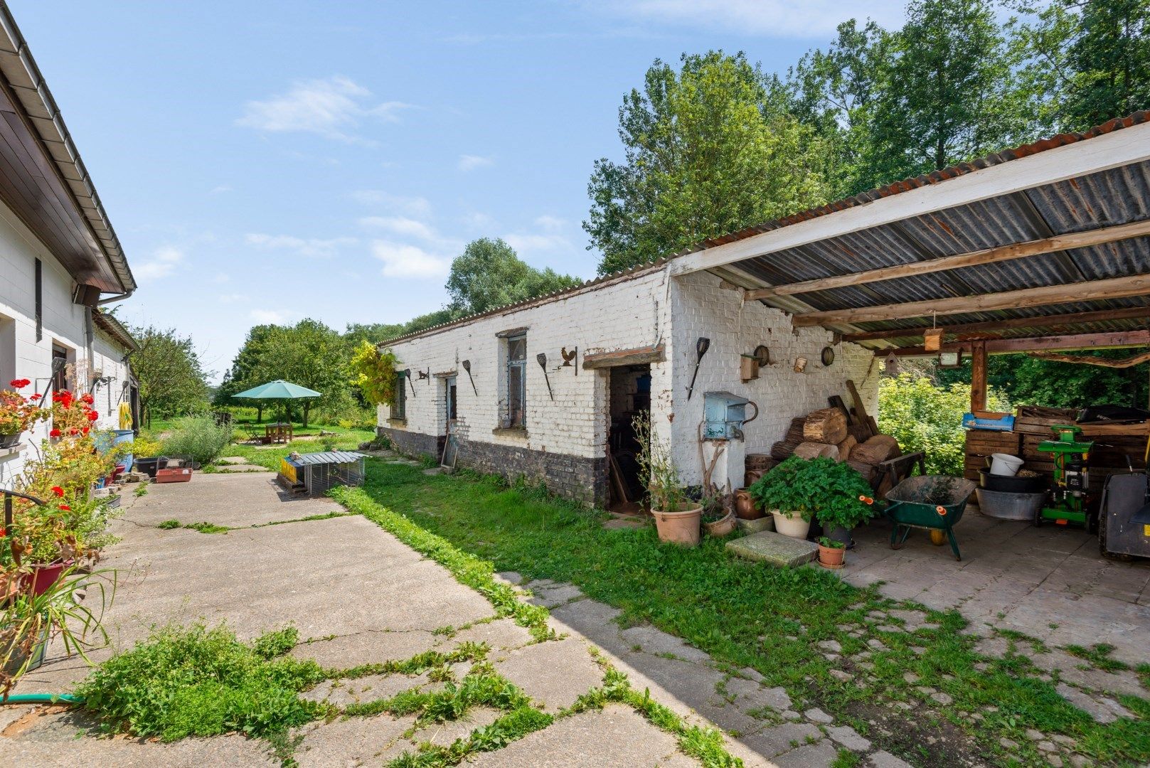 Idyllische hoeve in Mollem met paardenfaciliteiten foto 9