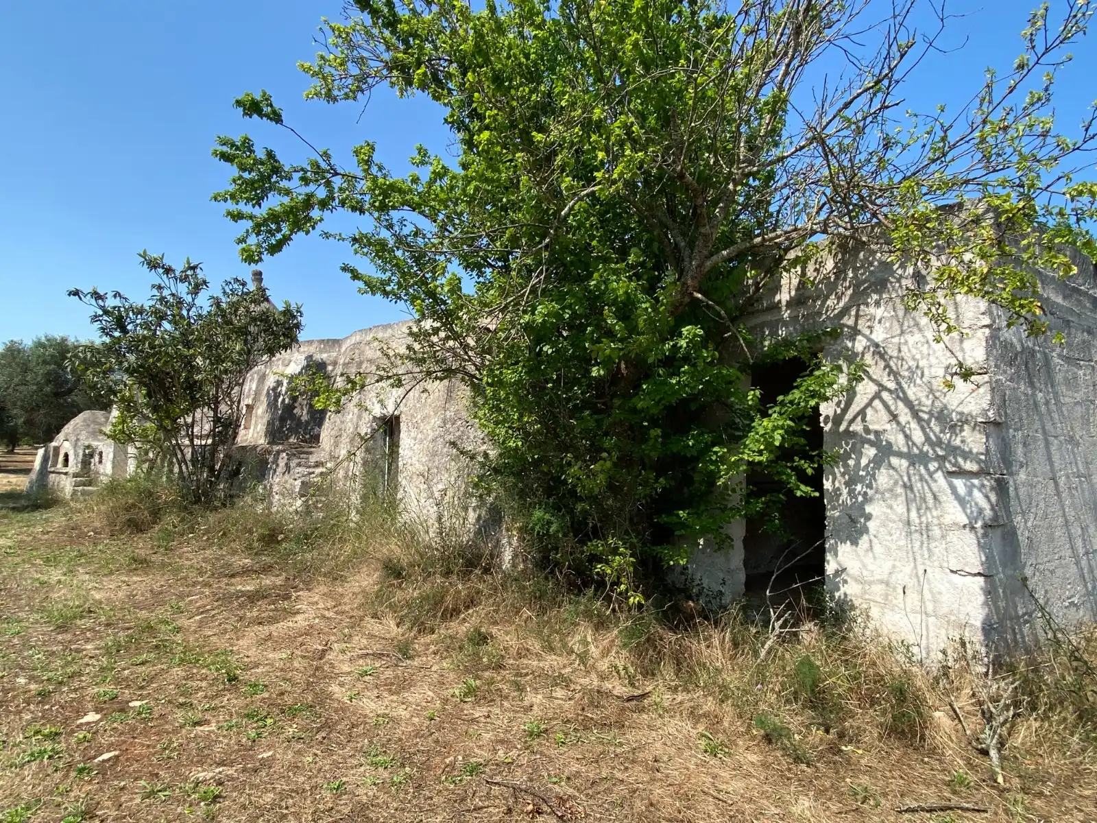 Twee fascinerende trulligroepen te koop in Puglia, Italia: An Italian Home away from Home foto 13