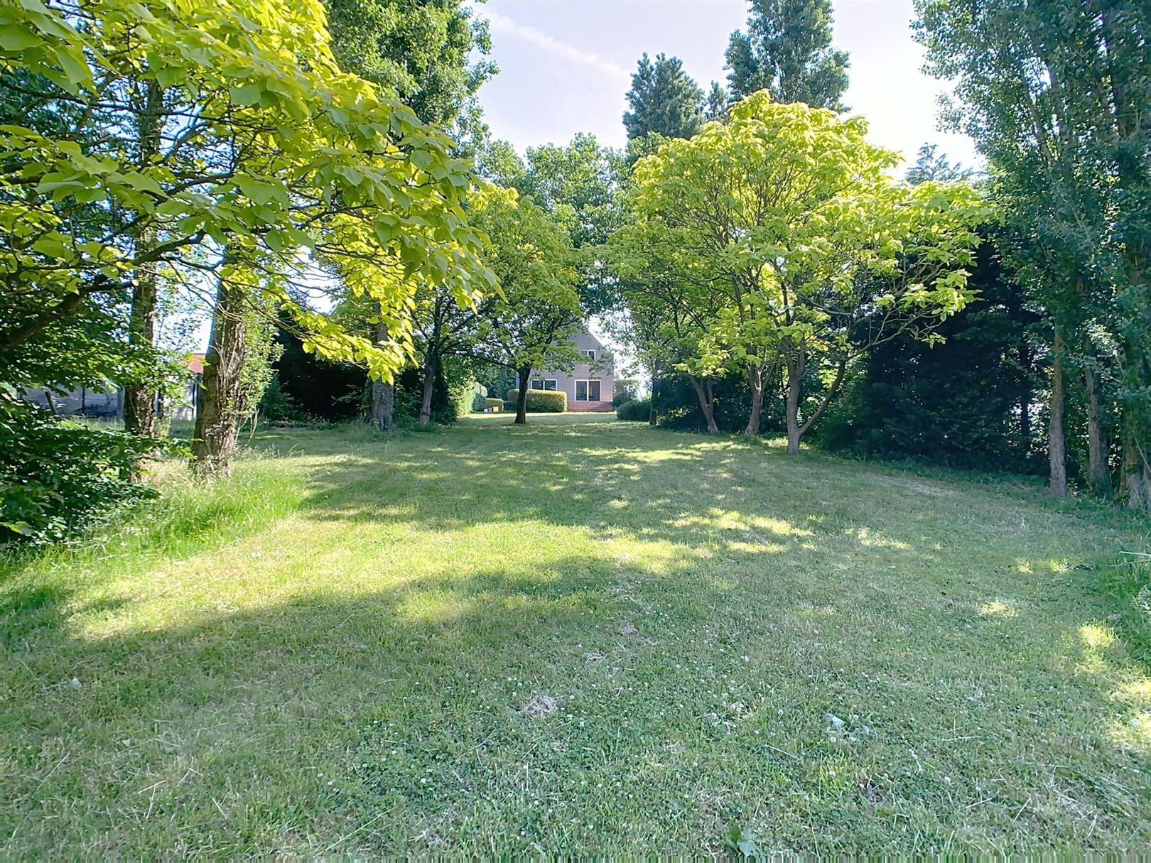 Ruime woning, 4 slpks, terras, tuin, weide, 46a 81ca foto 6