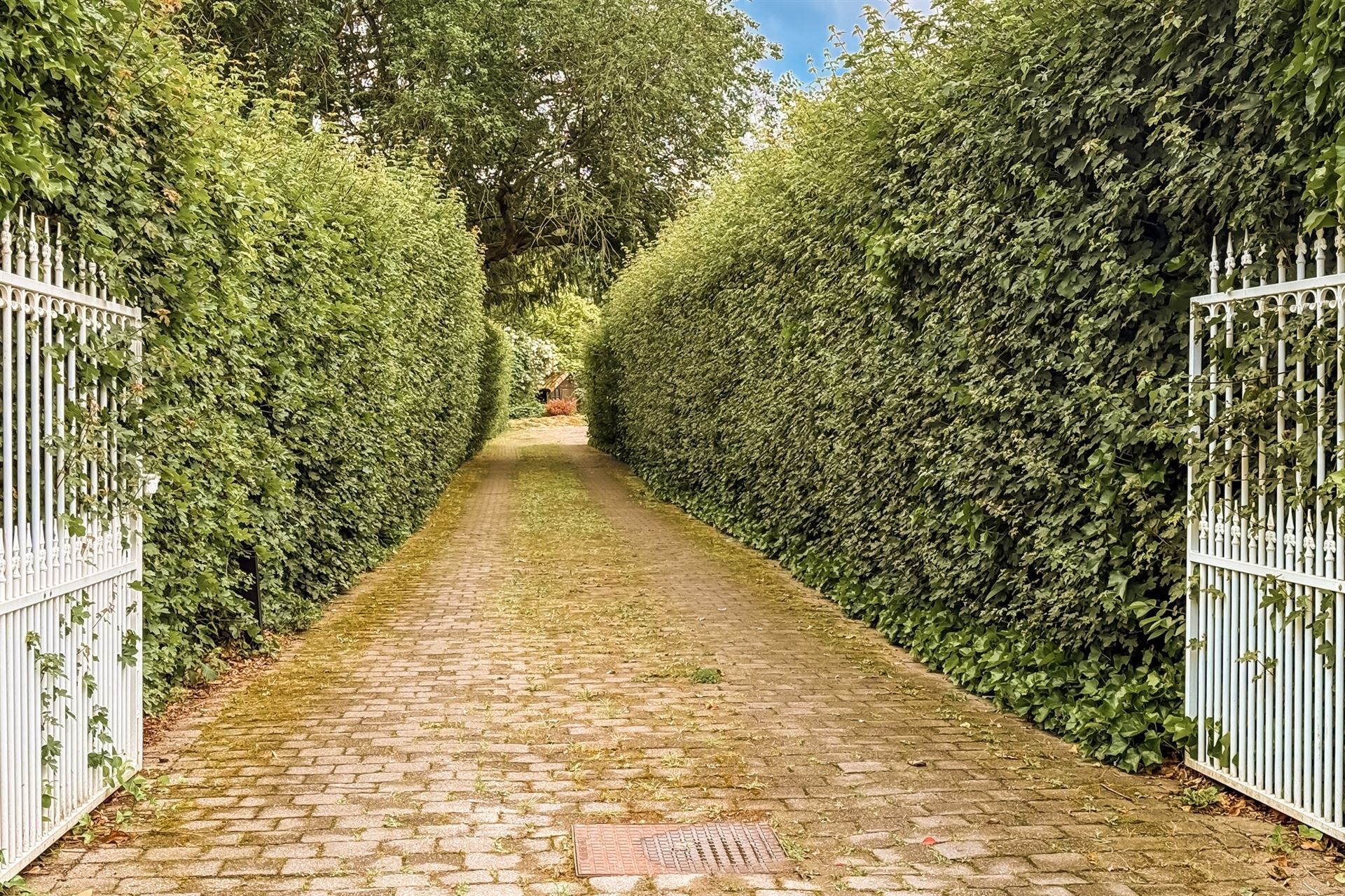 Prachtige instapklare woning op een achterliggend perceel met tuin en zwembad in een rustige woonwijk te Tremelo foto 25