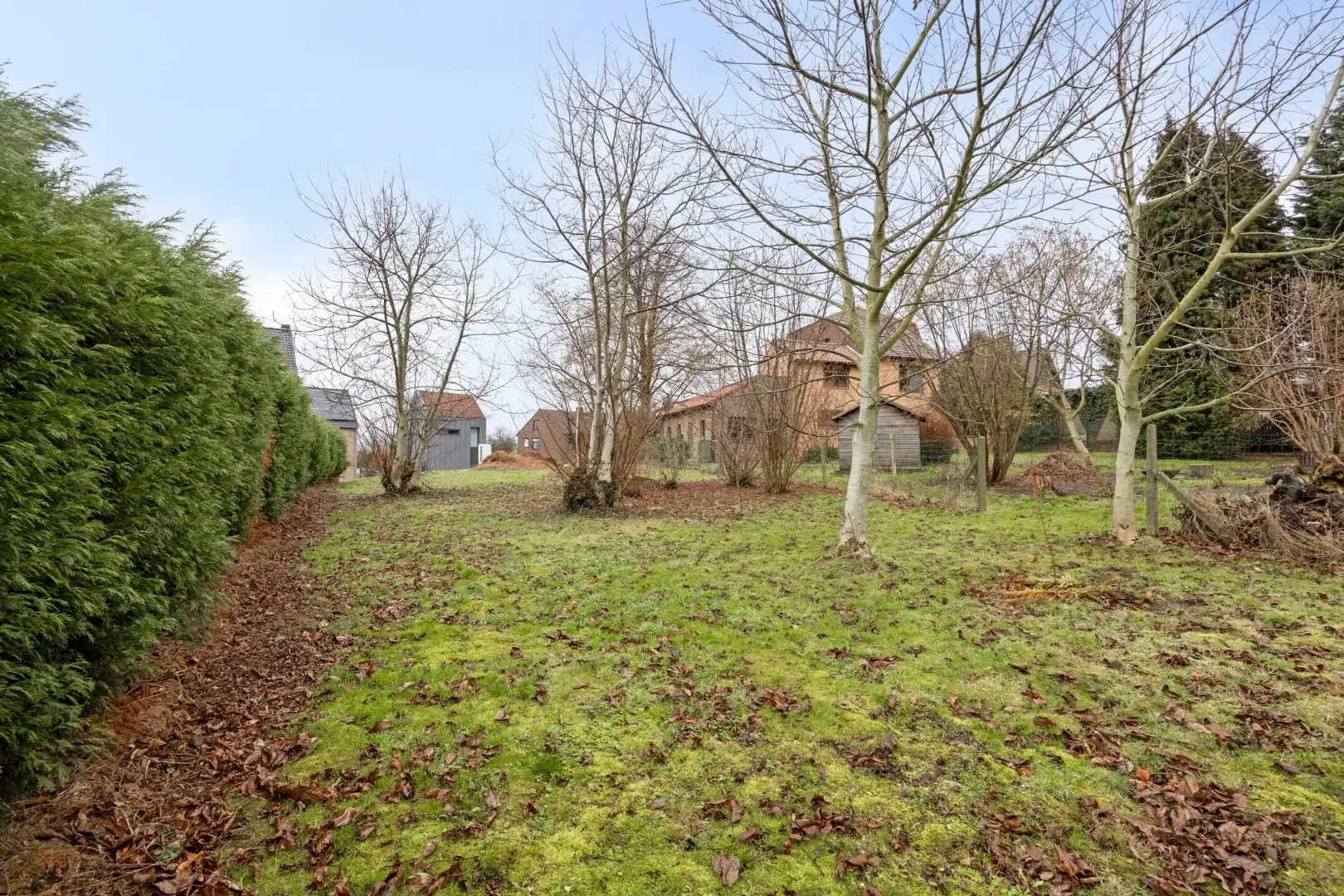 HALF OPEN BOUWGROND TE ROSMEER  foto 9