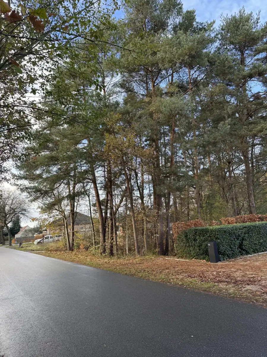 Ruime bouwgrond te koop in Balen-Wezel: ca. 3513 m² op rustige locatie foto {{pictureIndex}}