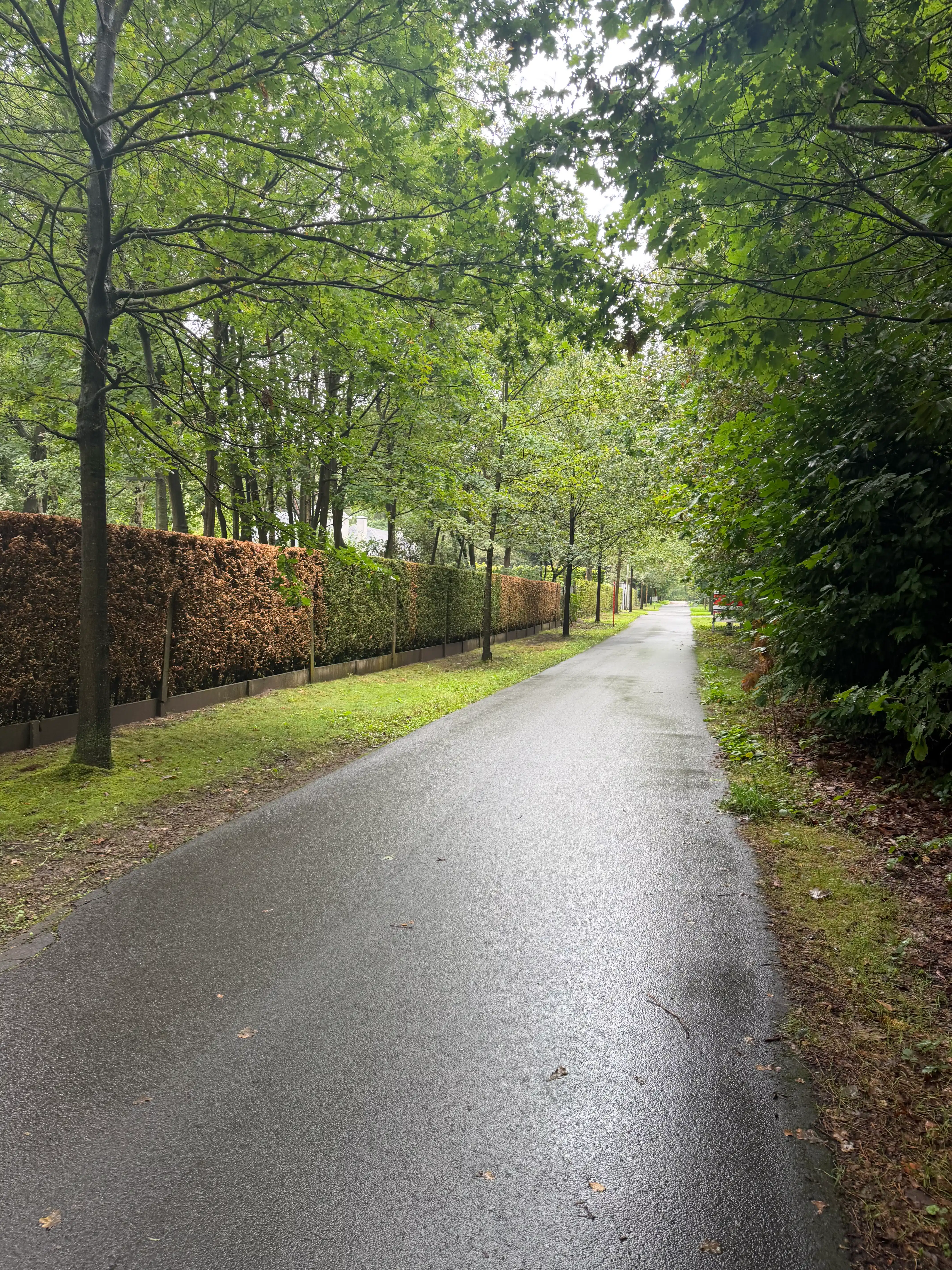 Prachtige bouwgrond 4250M2 met kleine woning erop. Oase van groen , rustig, veel privacy! foto 8