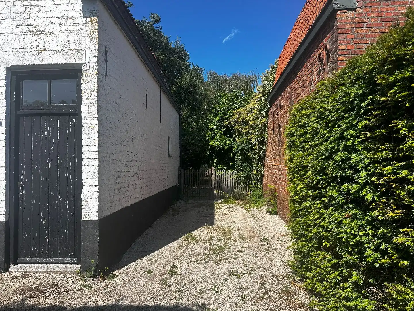 Vrijstaand wonen op royaal perceel in het pittoreske Heille – met nieuwbouwmogelijkheid! foto 3