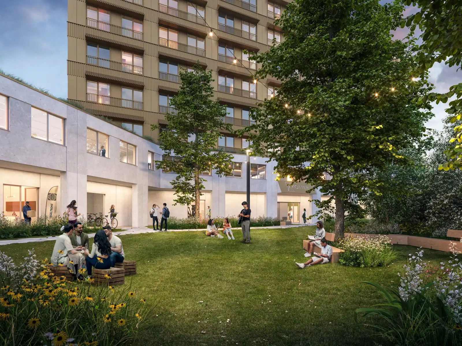 Type Kotter - large foto {{pictureIndex}}