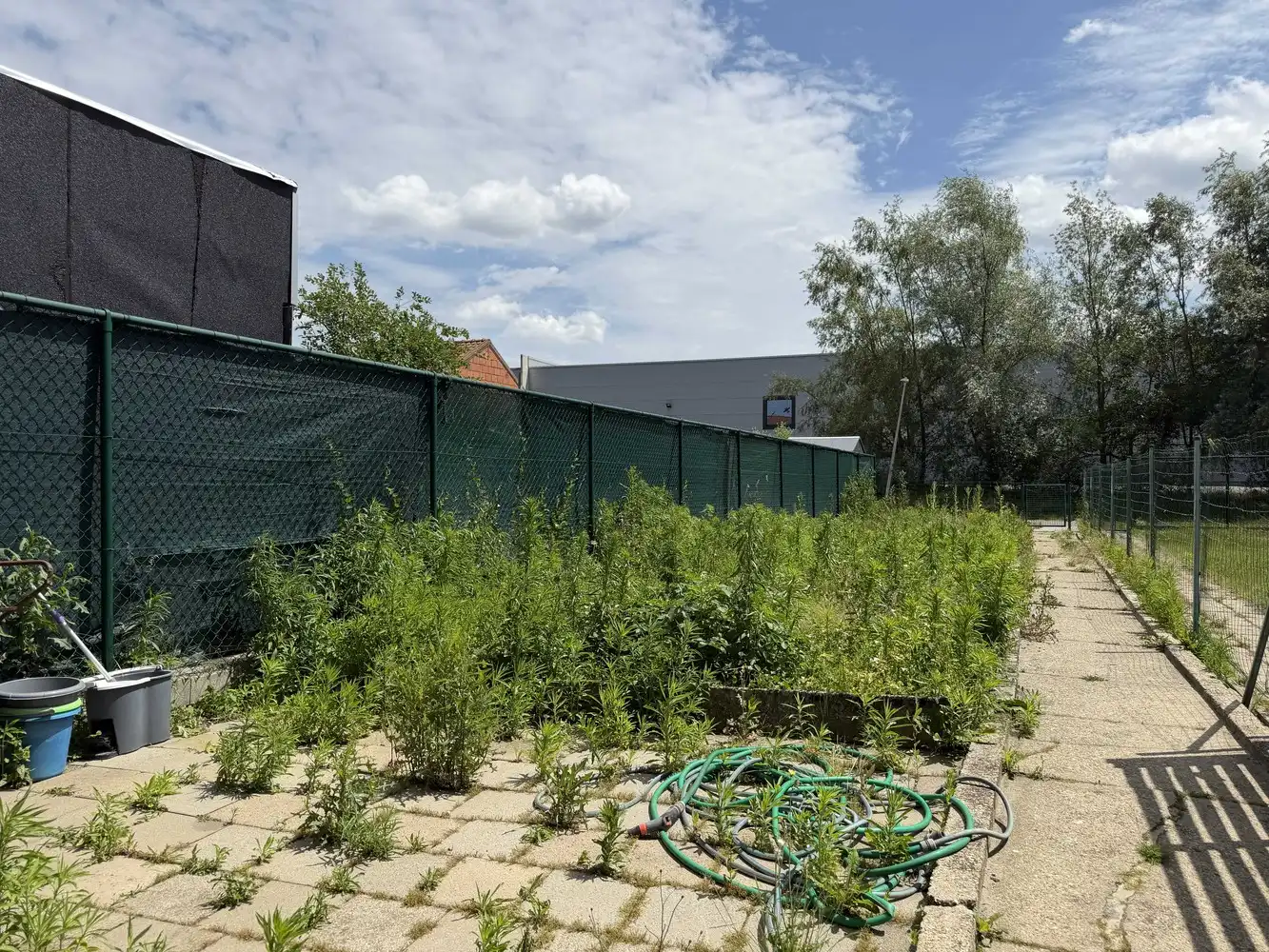 Rustig gelegen wijkwoning met zongerichte tuin foto 7