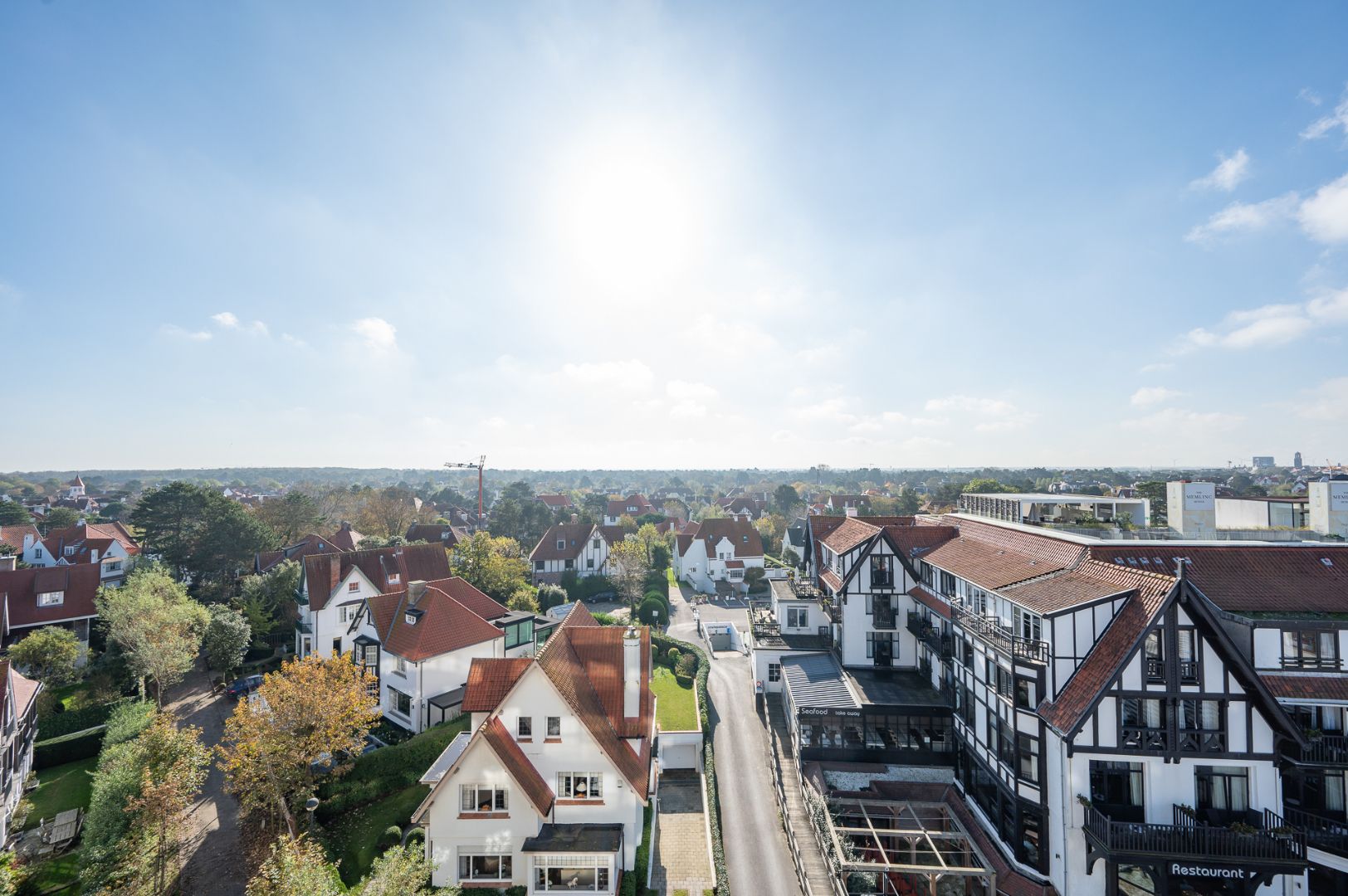 Prachtig gerenoveerd hoekappartement met zeezicht gelegen op het Albertplein foto 12